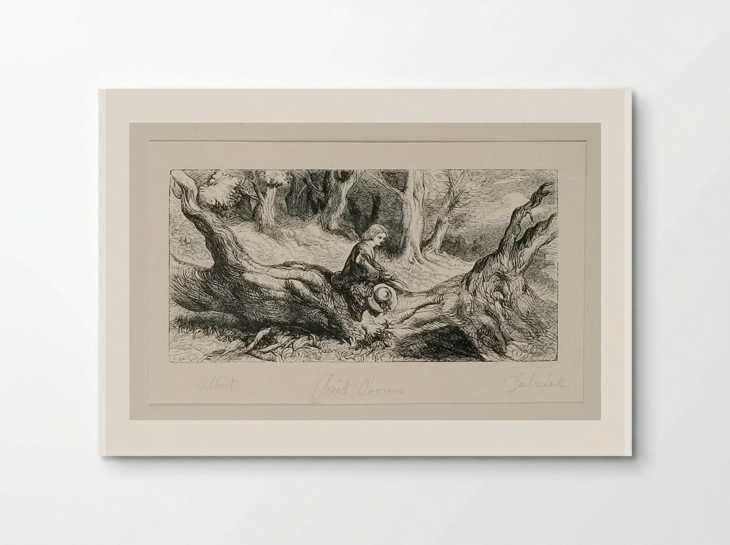 Fallen Tree - Edward Dalziel - Poster