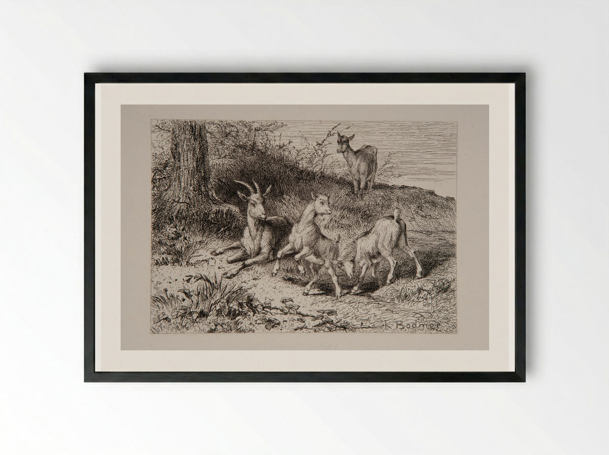 Family of Goats - Karl Bodmer - Framed Print Black