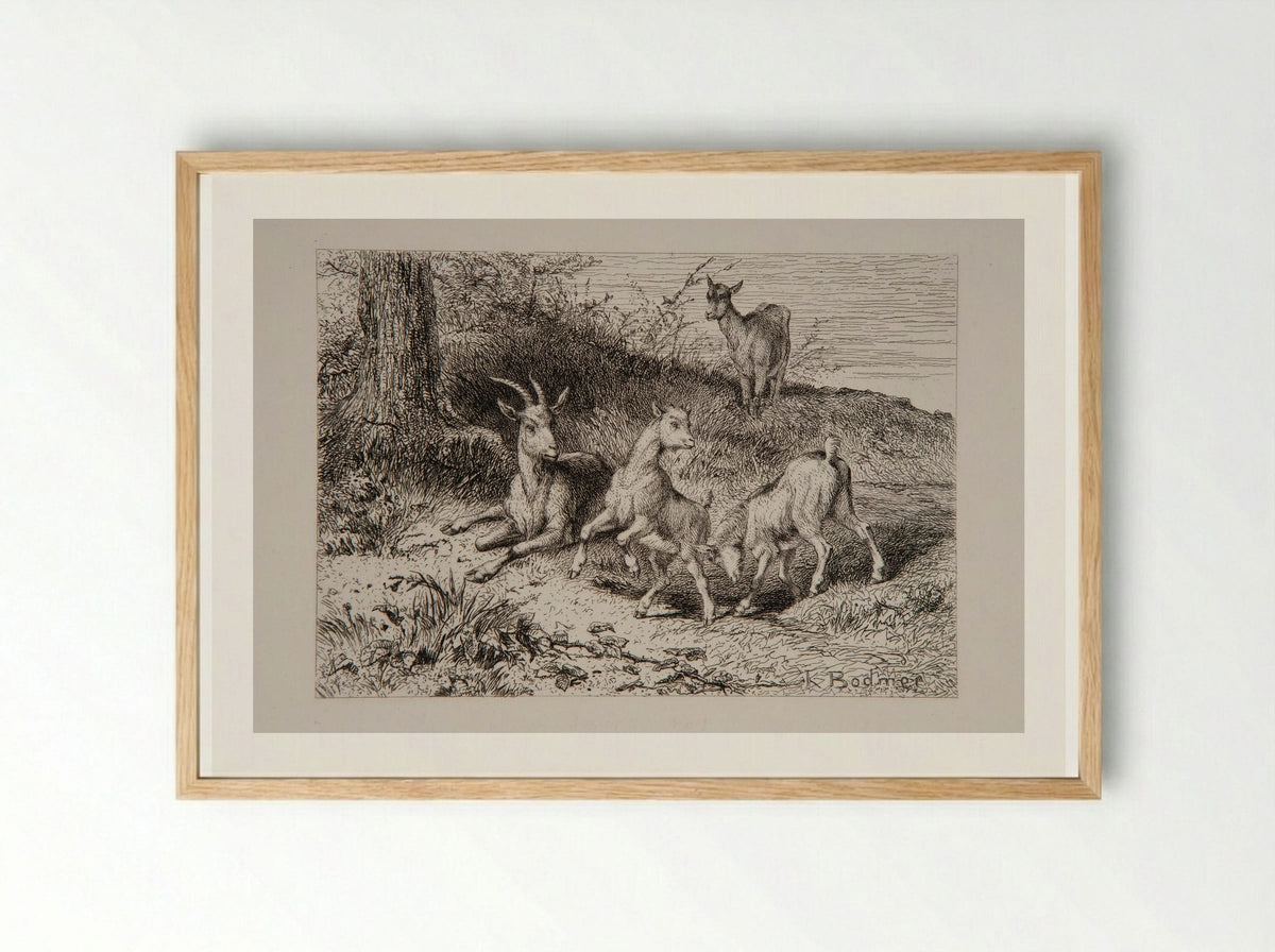 Family of Goats - Karl Bodmer - Framed Print Wood