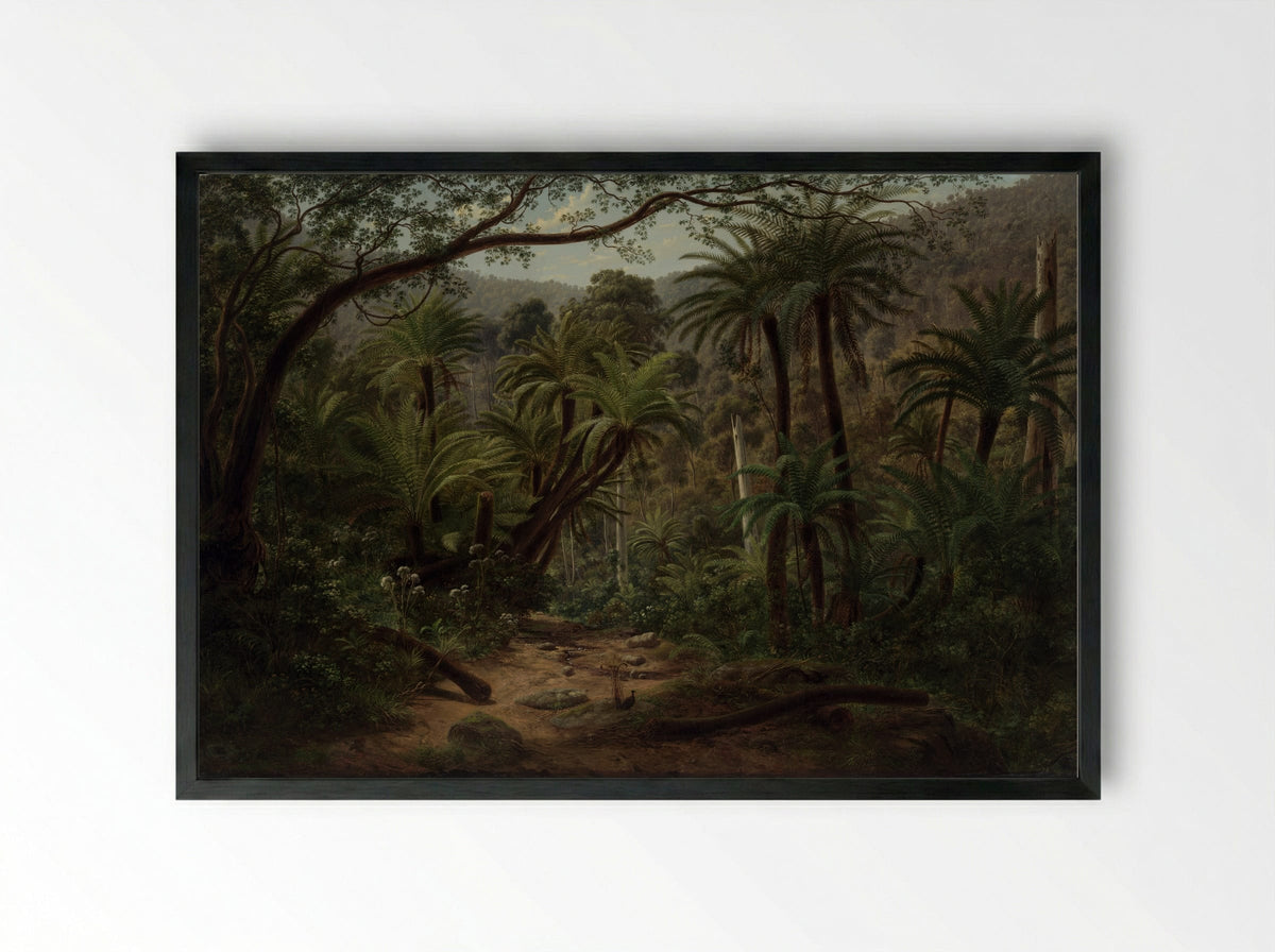 Ferntree Gully in the Dandenong Ranges - Eugene von Guerard - Framed Print Black