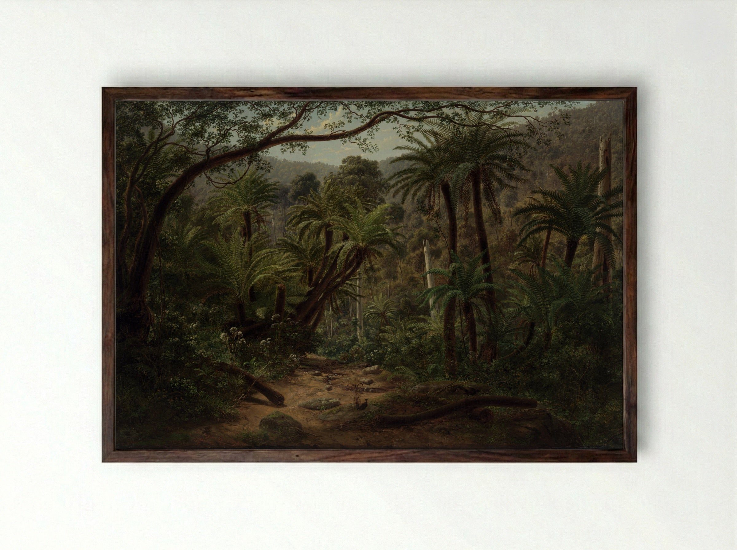 Ferntree Gully in the Dandenong Ranges - Eugene von Guerard - Framed Print Dark Wood