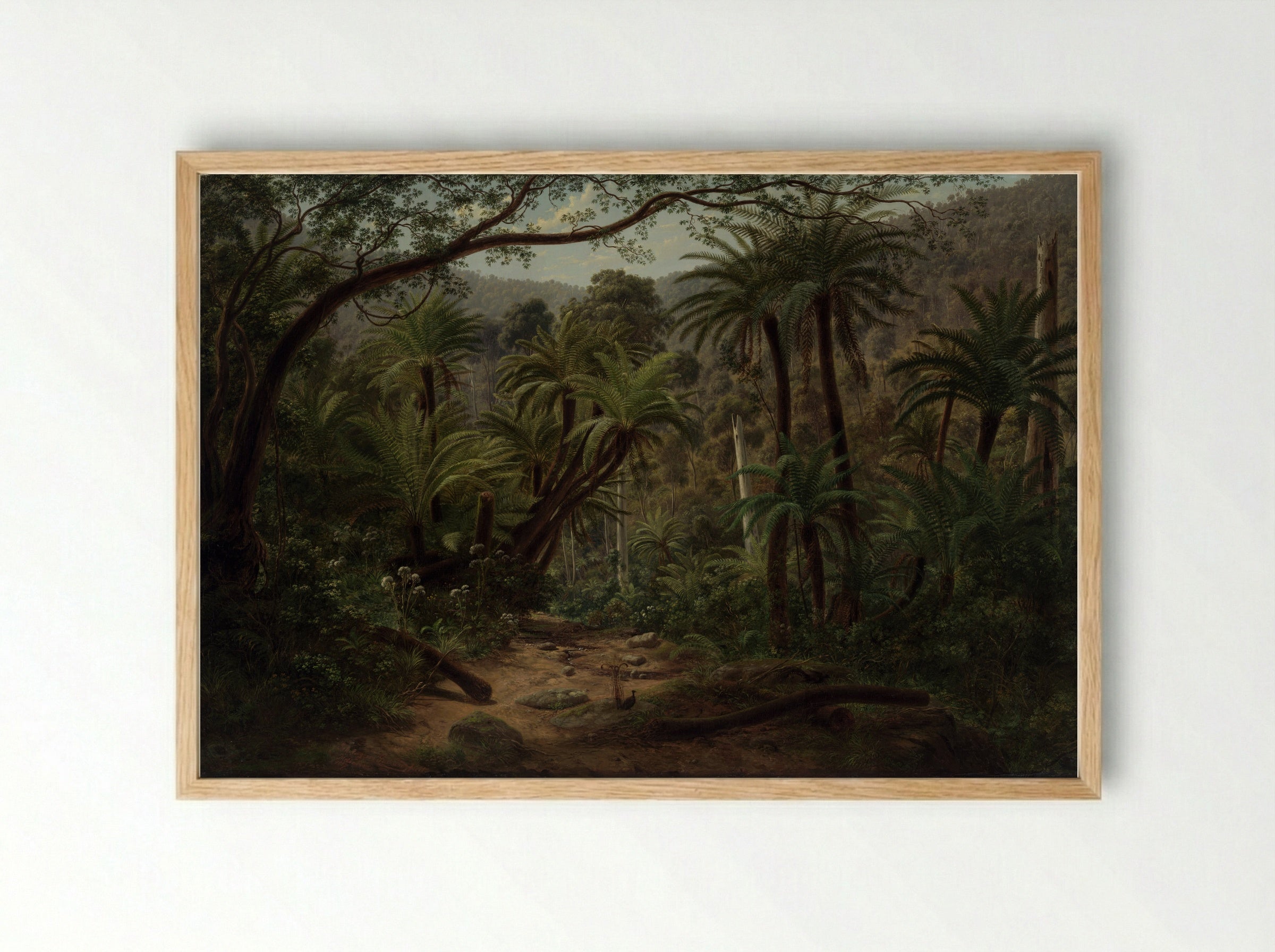 Ferntree Gully in the Dandenong Ranges - Eugene von Guerard - Framed Print Wood