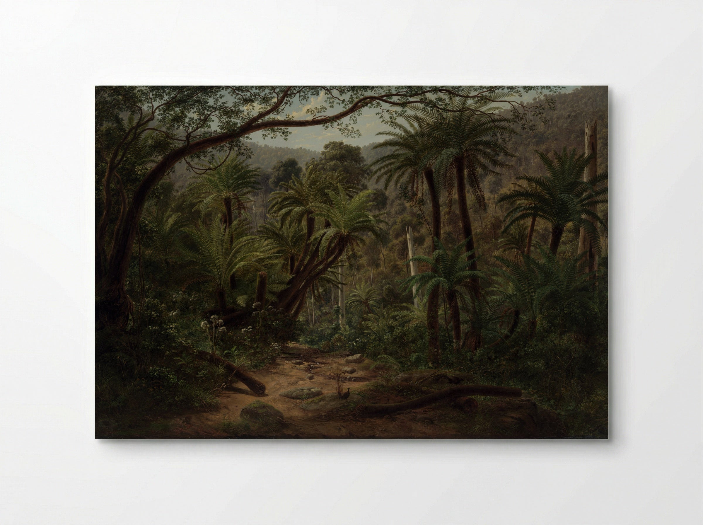 Ferntree Gully in the Dandenong Ranges - Eugene von Guerard - Poster