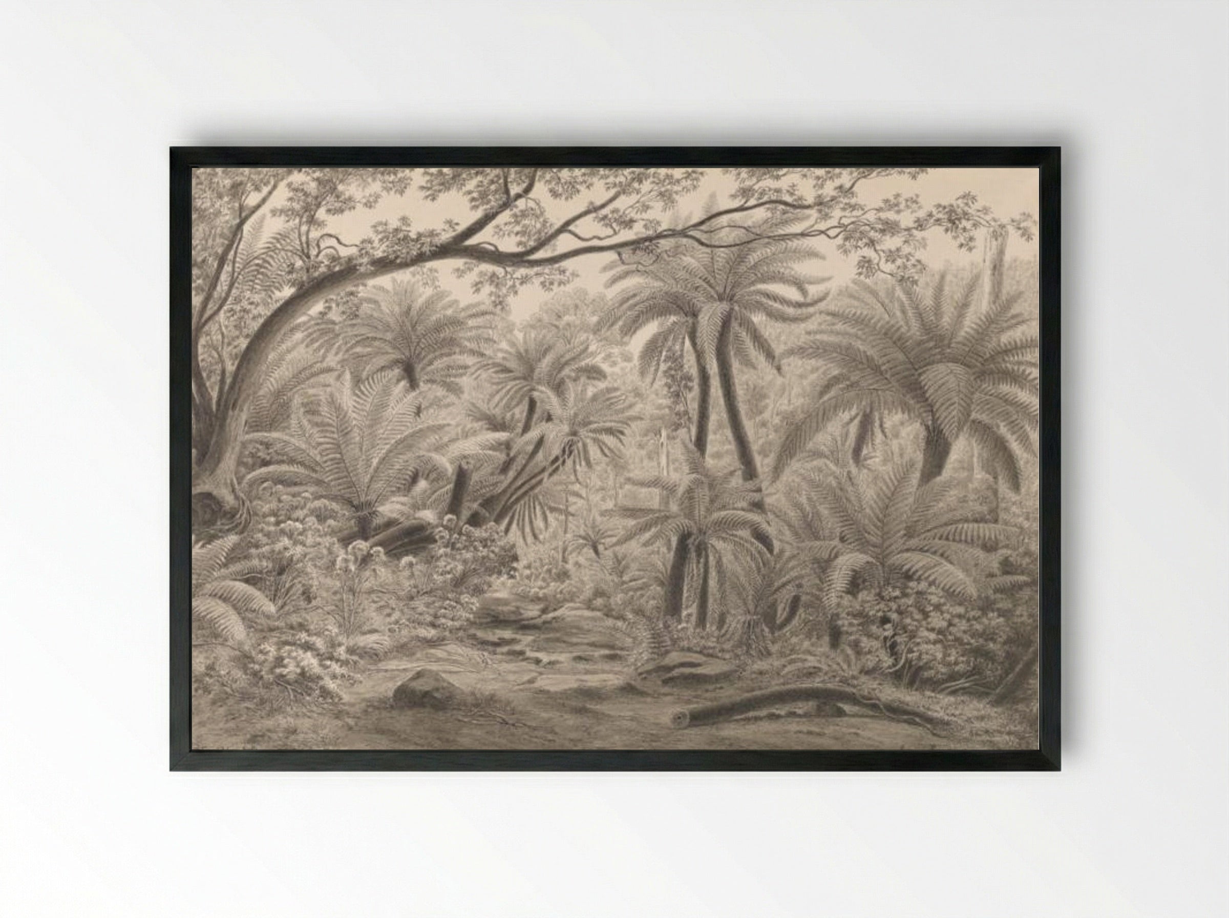 Ferntree or Dobson's Gully, Dandenong Ranges - Eugene von Guerard - Framed Print Black