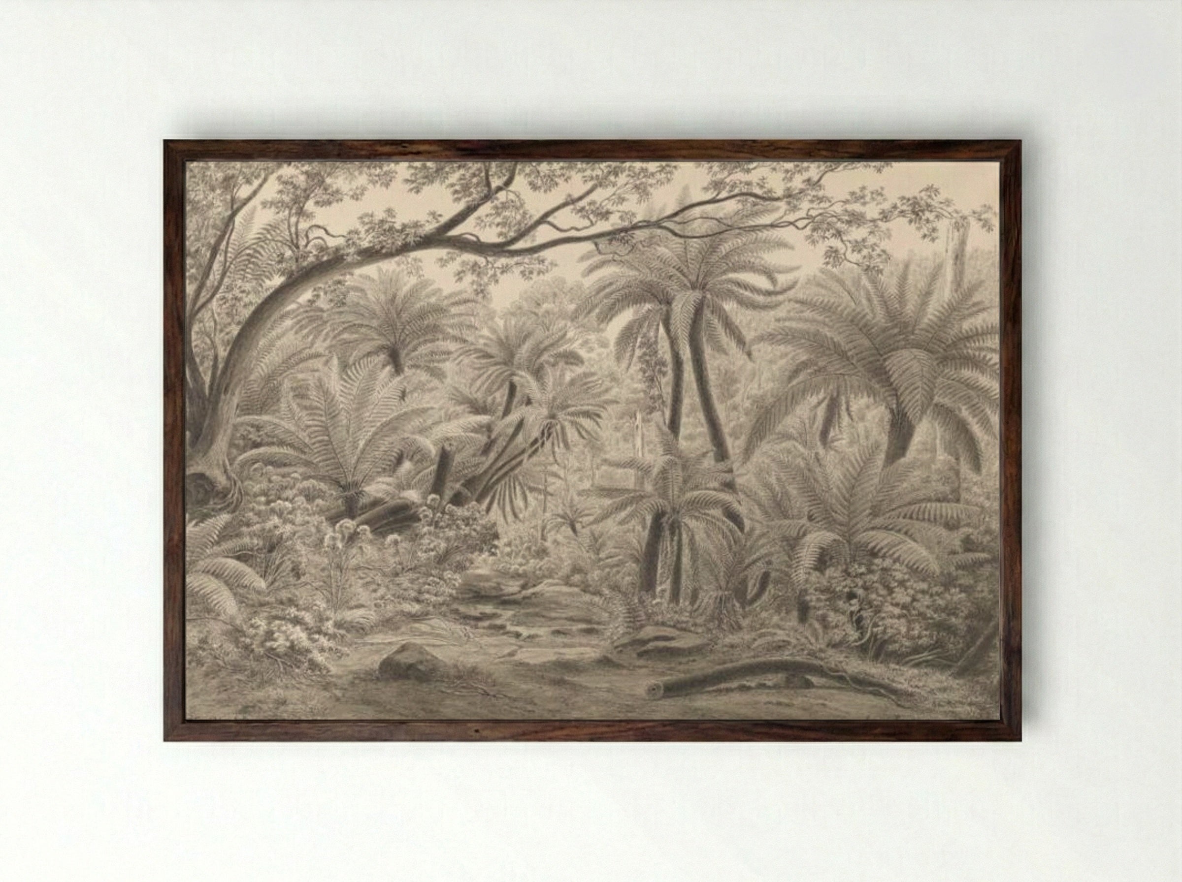Ferntree or Dobson's Gully, Dandenong Ranges - Eugene von Guerard - Framed Print Dark Wood