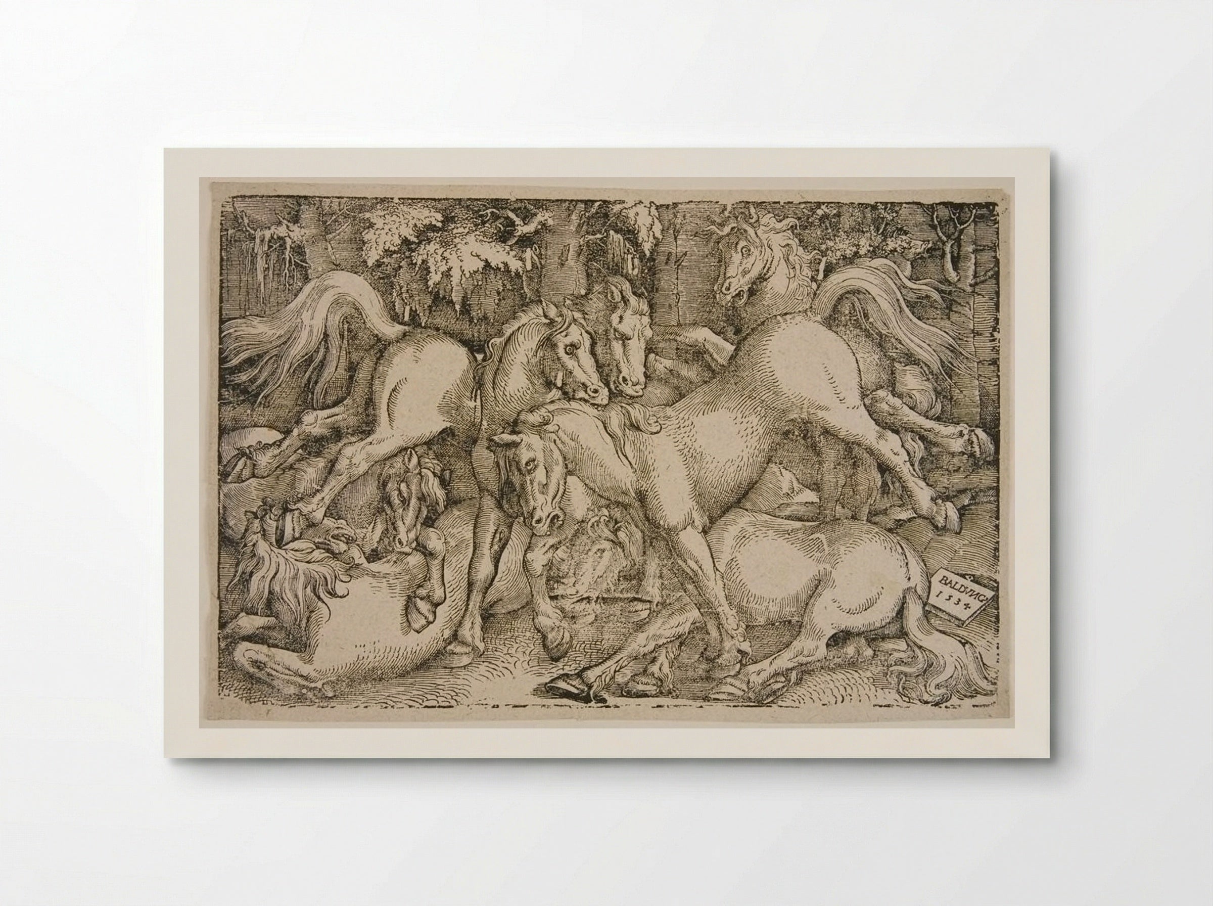 Fighting Wild Horses in a Wood - Hans Baldung Grien - Poster