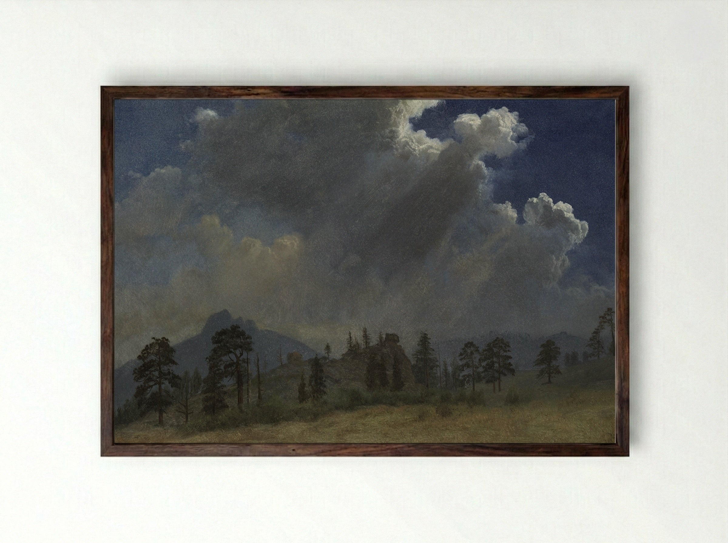 Fir Trees and Storm Clouds - Albert Bierstadt - Framed Print Dark Wood
