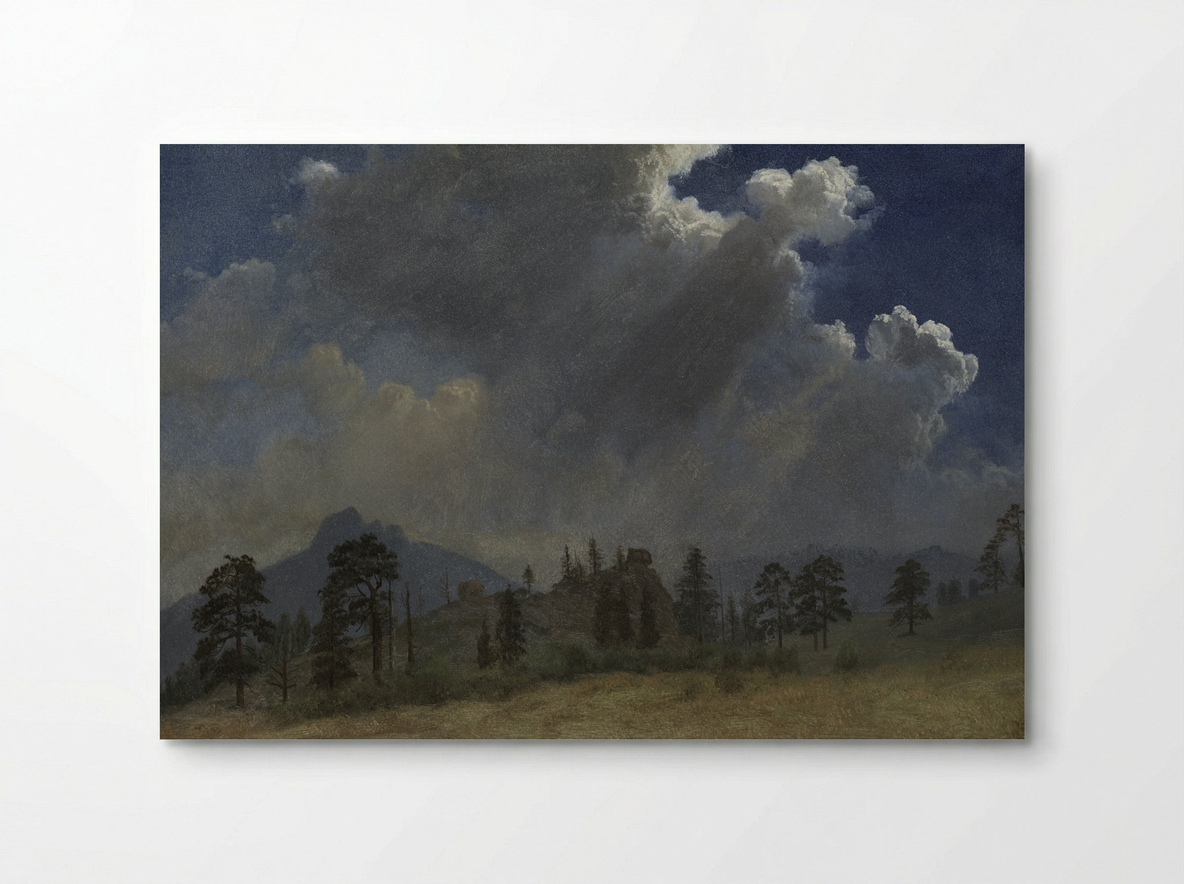 Fir Trees and Storm Clouds - Albert Bierstadt - Poster