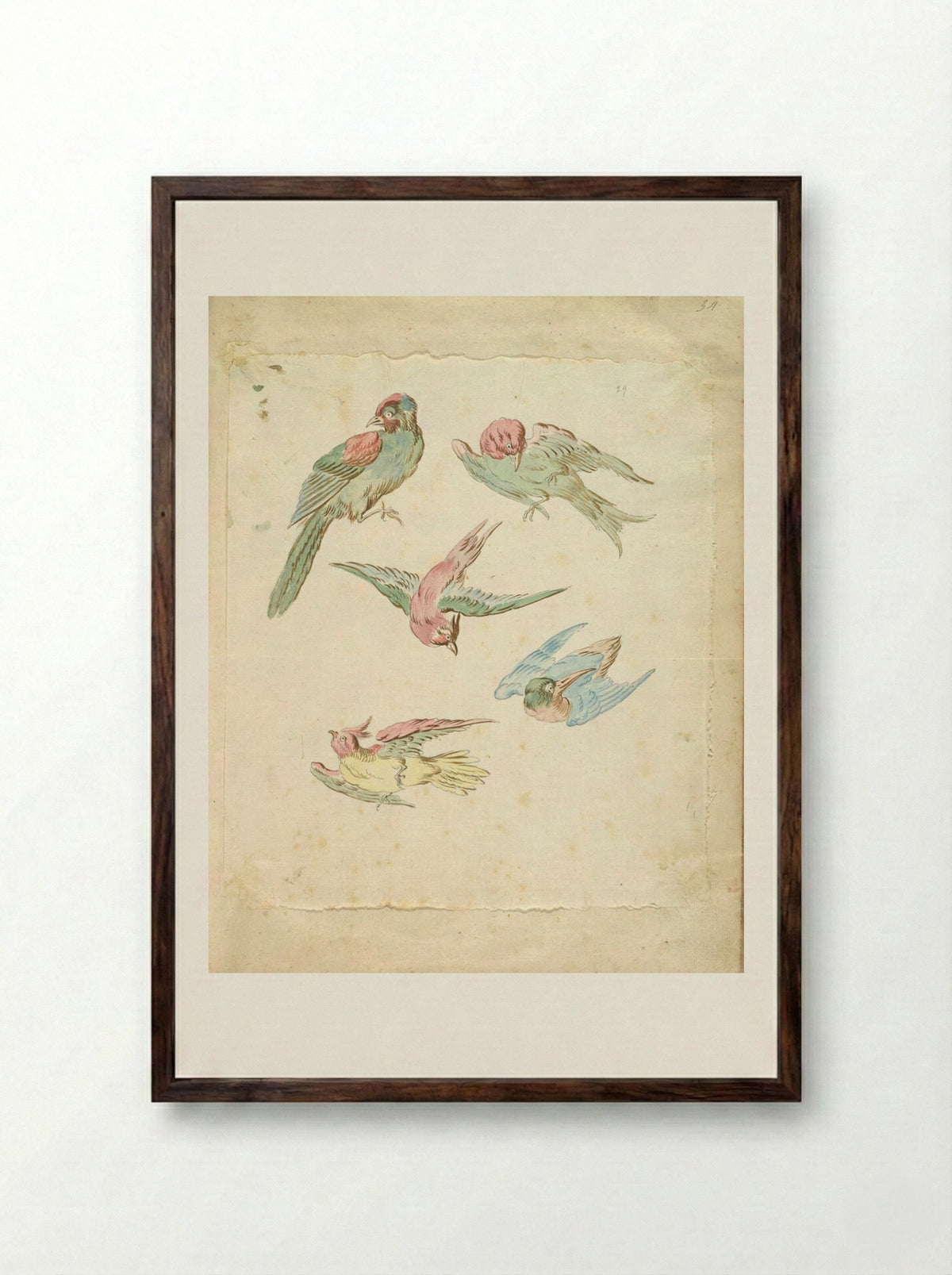 Five Birds, One Perched, Four in Flight - Jean-Baptiste Oudry - Framed Print Dark Wood