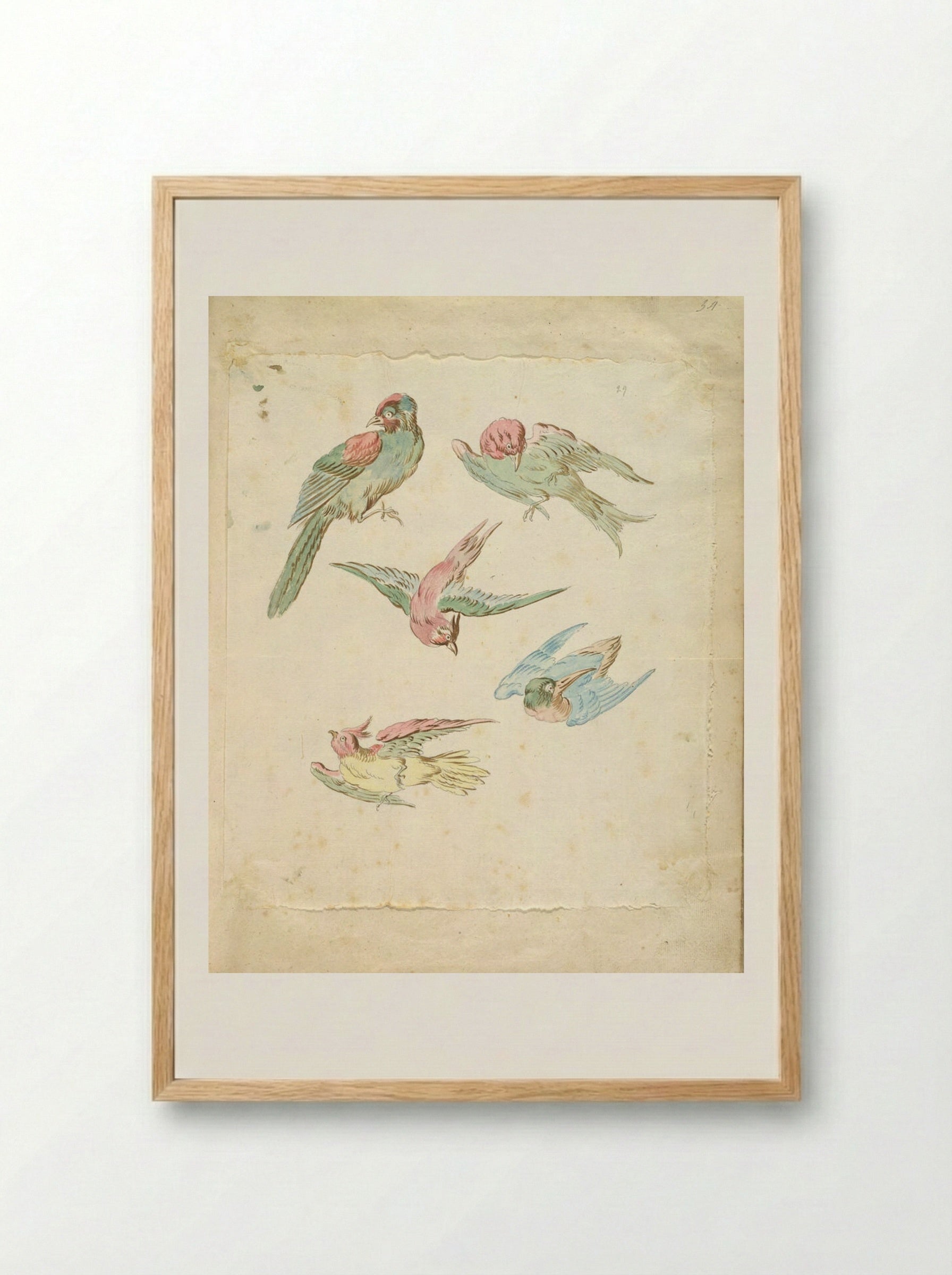 Five Birds, One Perched, Four in Flight - Jean-Baptiste Oudry - Framed Print Wood