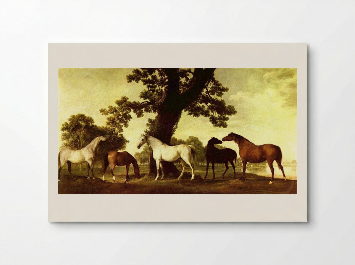 Five Brood Mares - George Stubbs - Poster