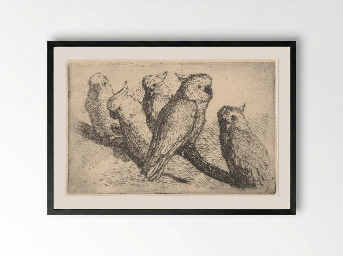 Five Cockatoos on a Branch - de Groot - Framed Print Black