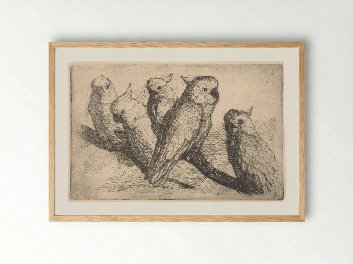 Five Cockatoos on a Branch - de Groot - Framed Print Wood