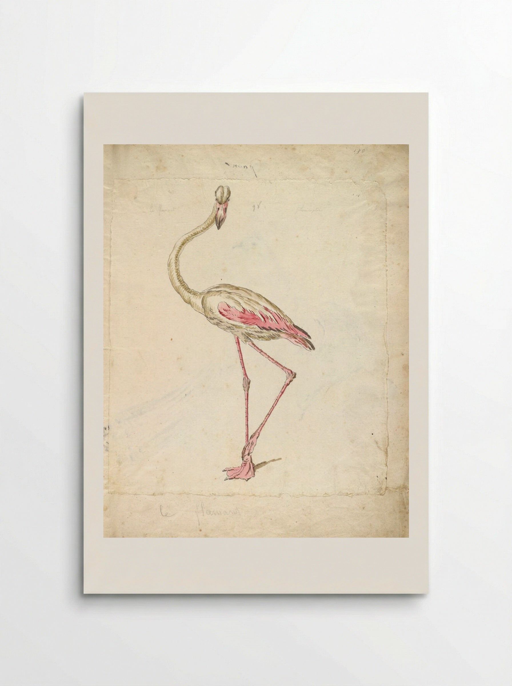 Flamingo - Jean-Baptiste Oudry - Poster