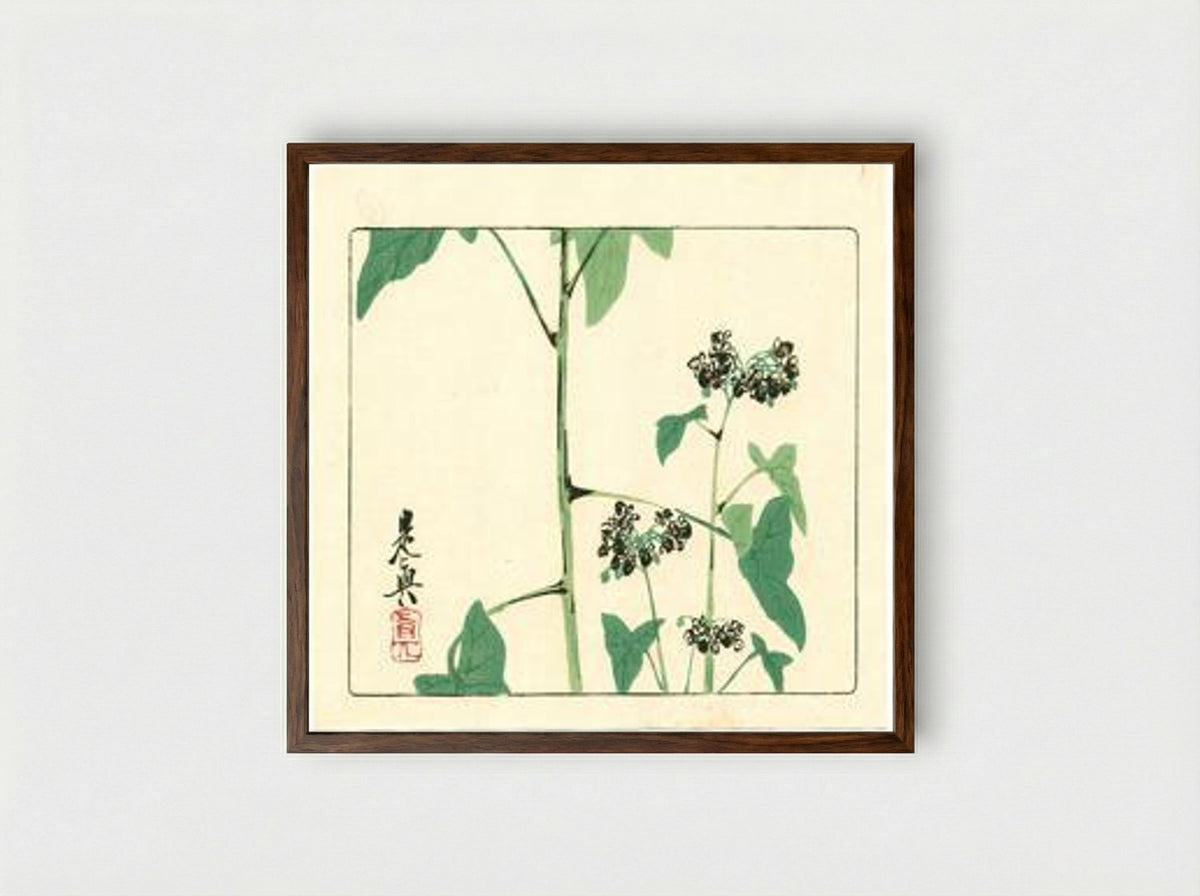 Flowering Plant - Hana Kurabe - Framed Print Dark Wood