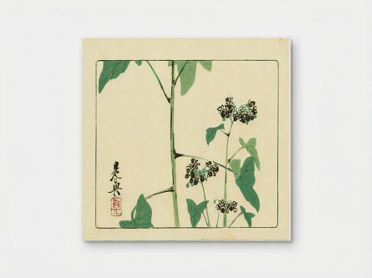 Flowering Plant - Hana Kurabe - Poster