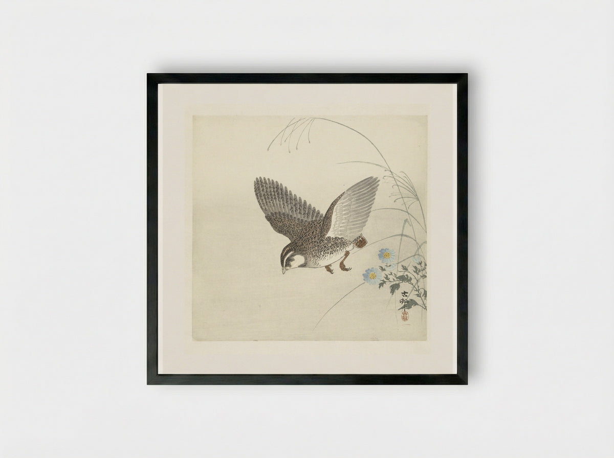 Flying Quail - Matsuki Heikichi - Framed Print Black