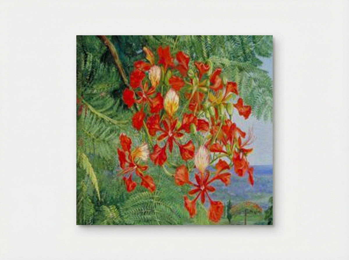 Foliage and Flowers of a Madagascar Tree - Marianne North - Poster