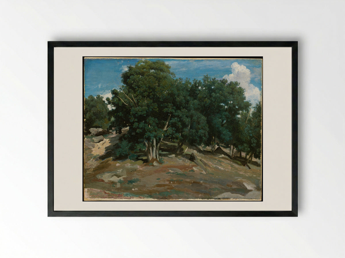 Fontainebleau: Oak Trees at Bas-Bréau - Camille Corot - Framed Print Black