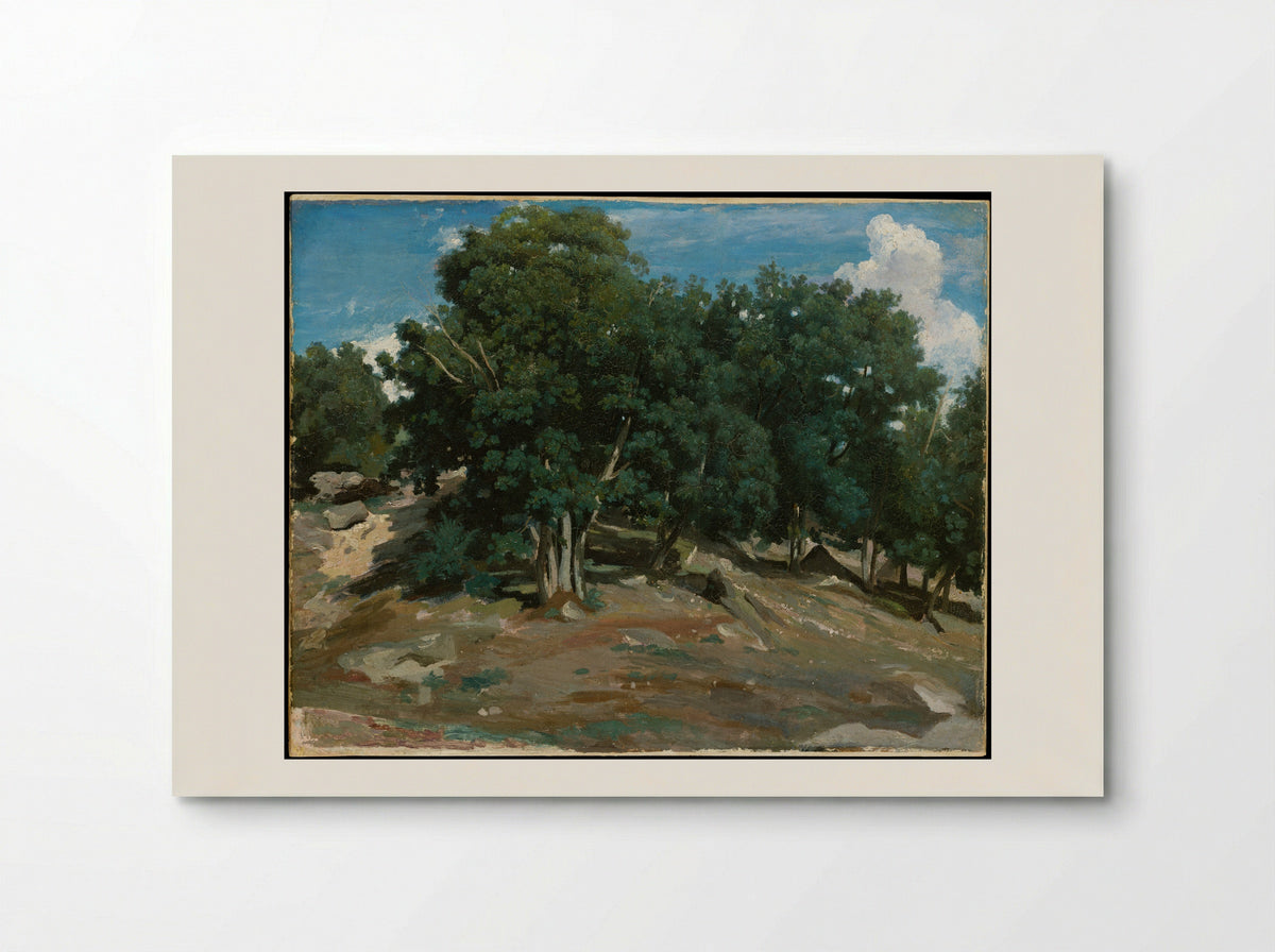 Fontainebleau: Oak Trees at Bas-Bréau - Camille Corot - Poster