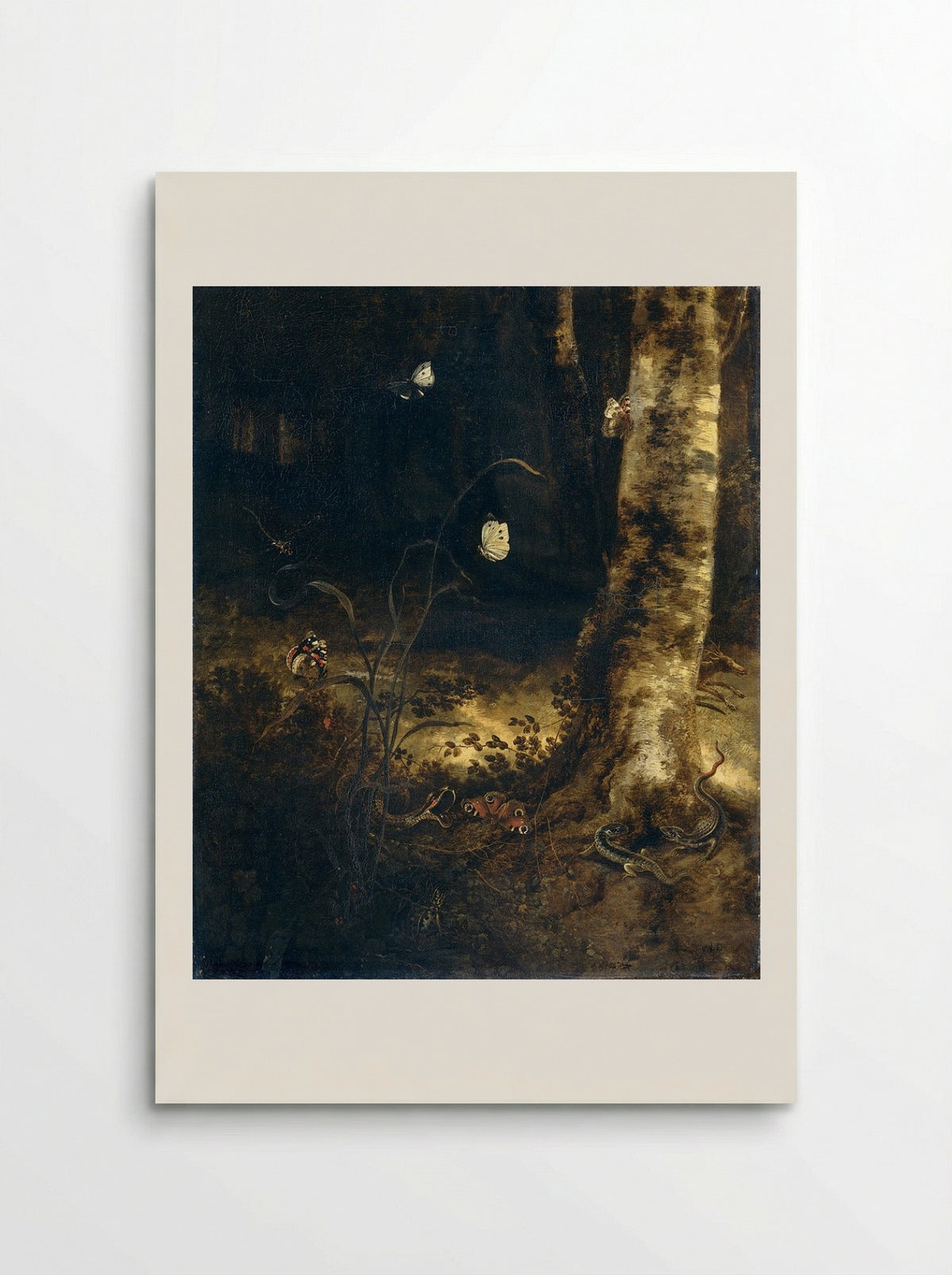 Forest Floor with a Snake, Lizards, Butterflies and Other Insects - Otto Marseus van Schrieck - Poster