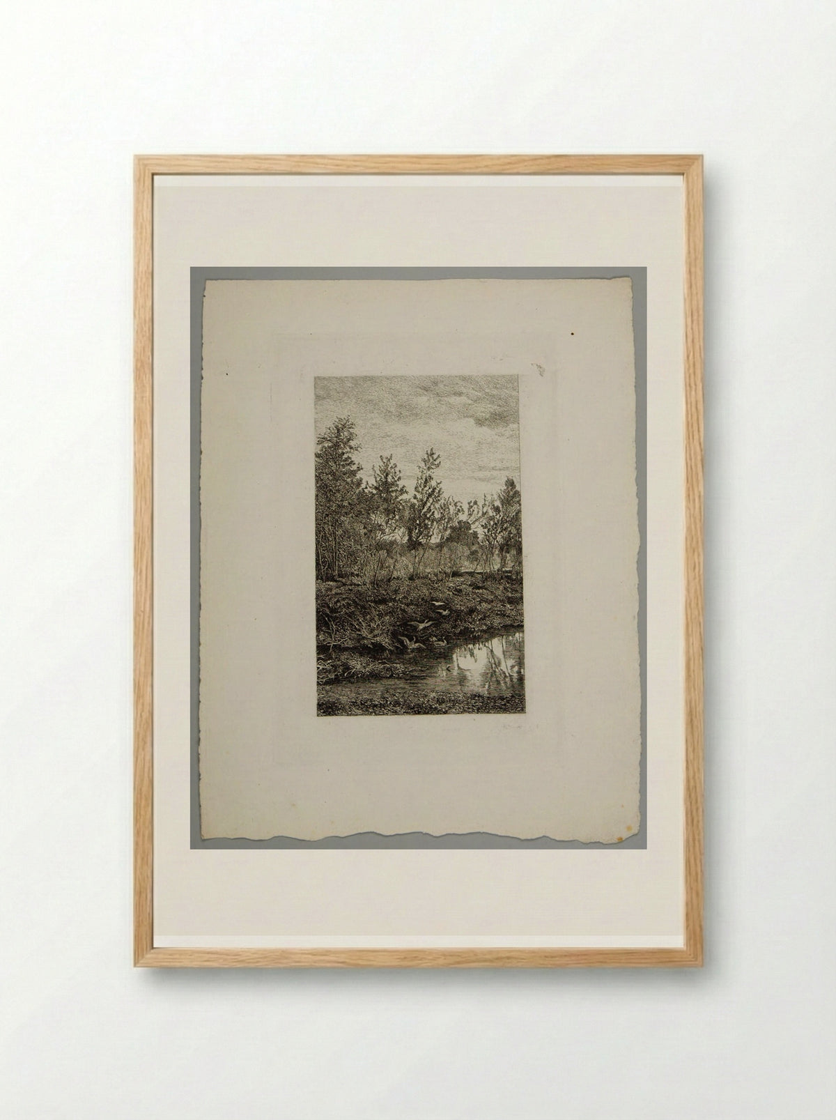 Forest Pool with Ducks - Karl Bodmer - Framed Print Wood