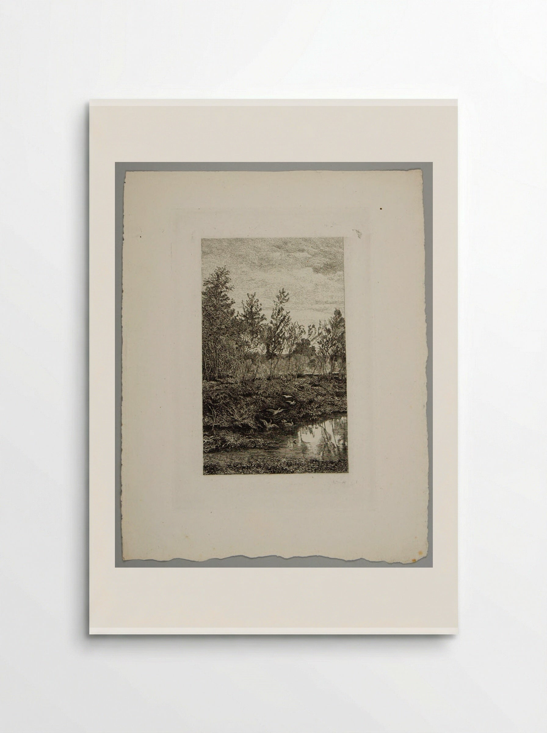 Forest Pool with Ducks - Karl Bodmer - Poster