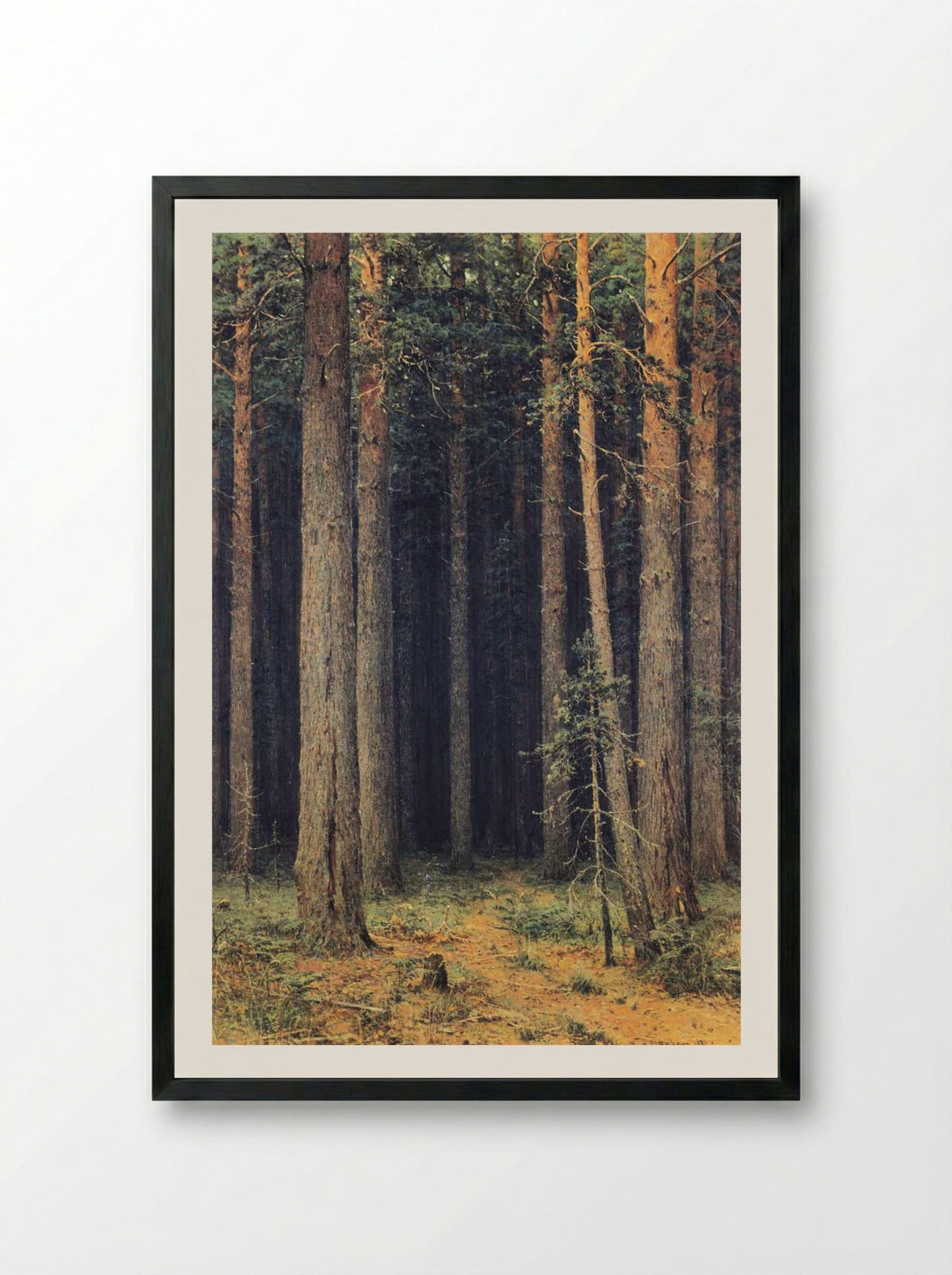Forest Reserve. Pine Grove - Ivan Shishkin - Framed Print Black
