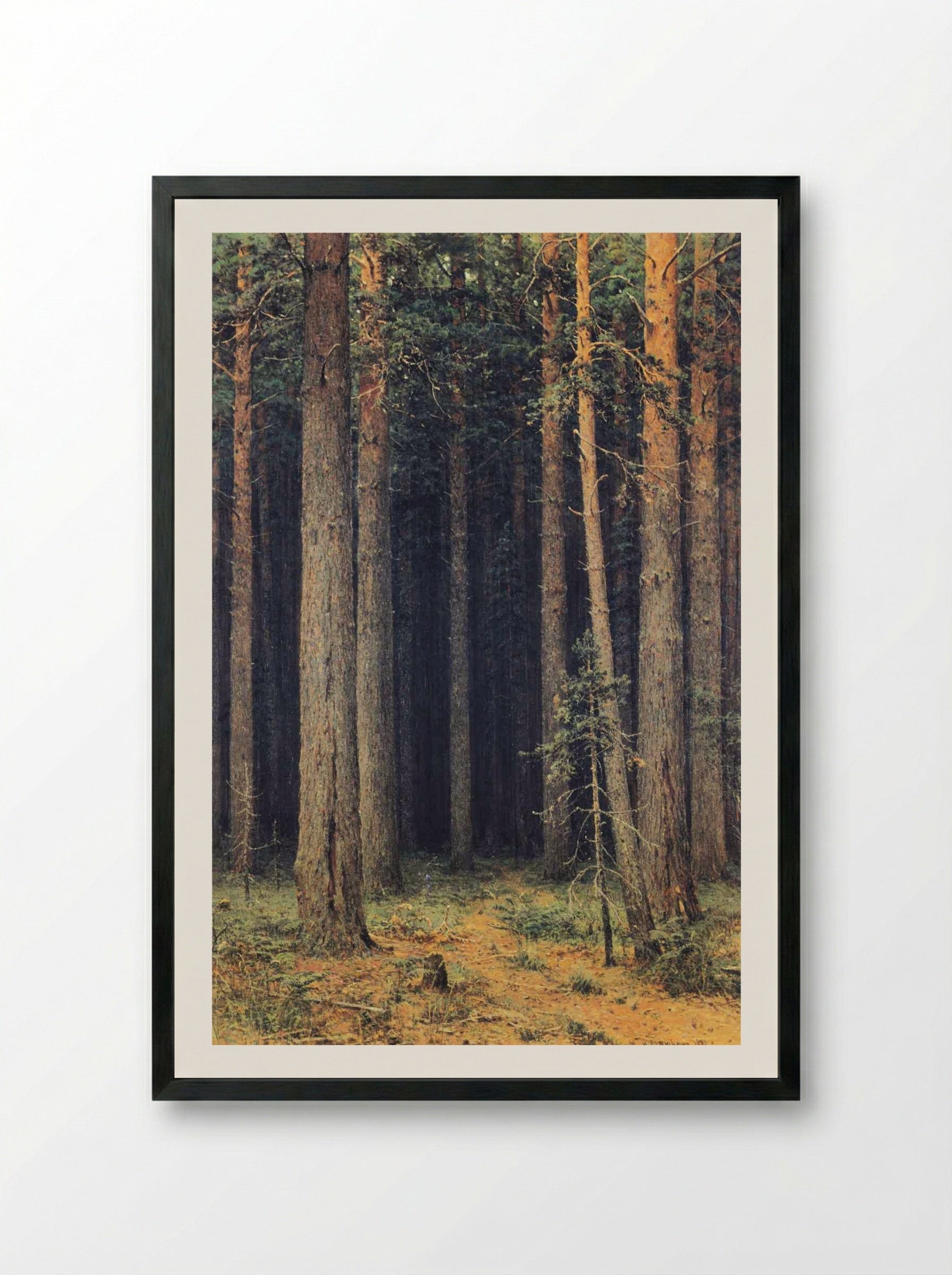 Forest Reserve. Pine Grove - Ivan Shishkin - Framed Print Black