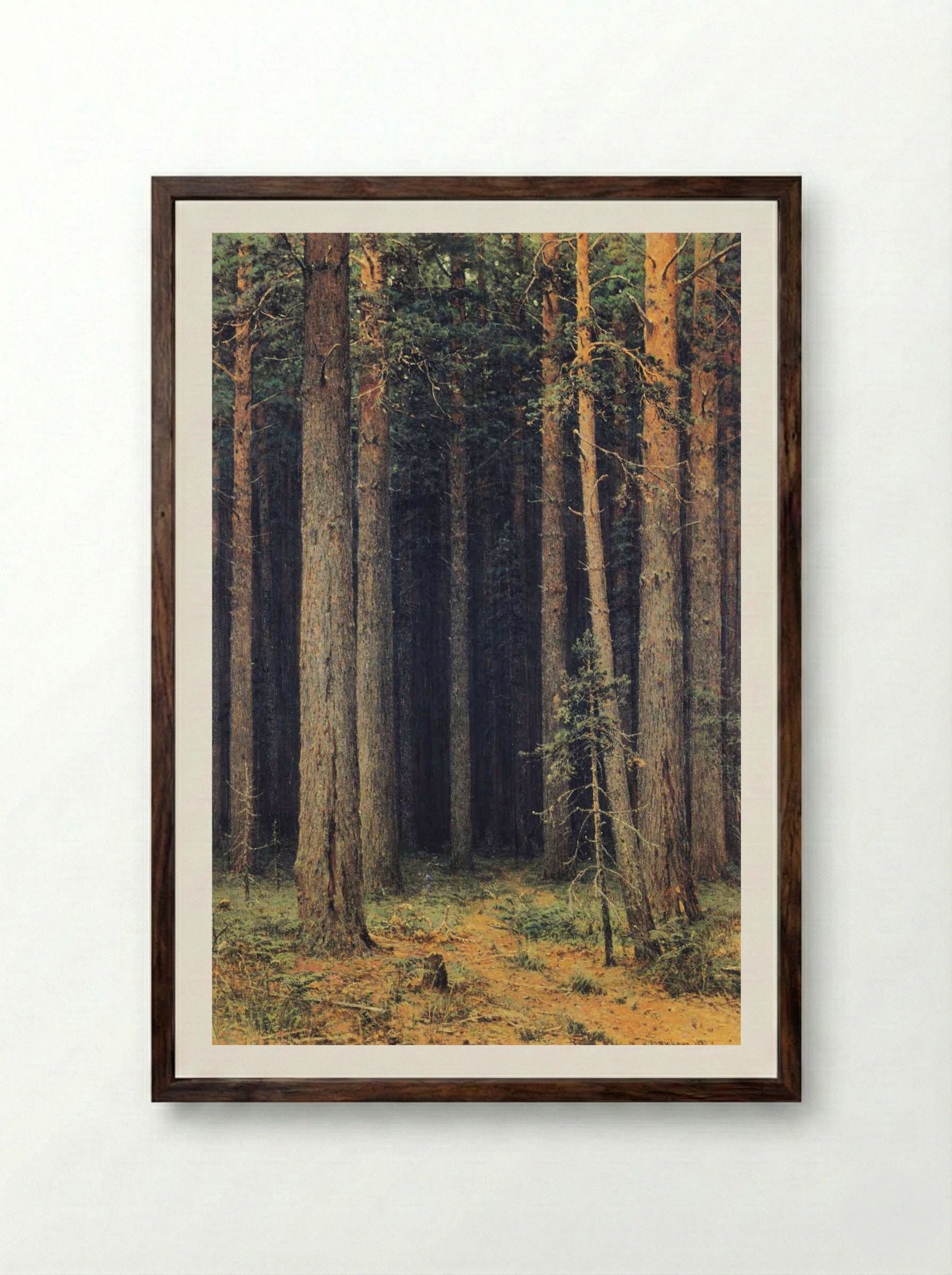 Forest Reserve. Pine Grove - Ivan Shishkin - Framed Print Dark Wood