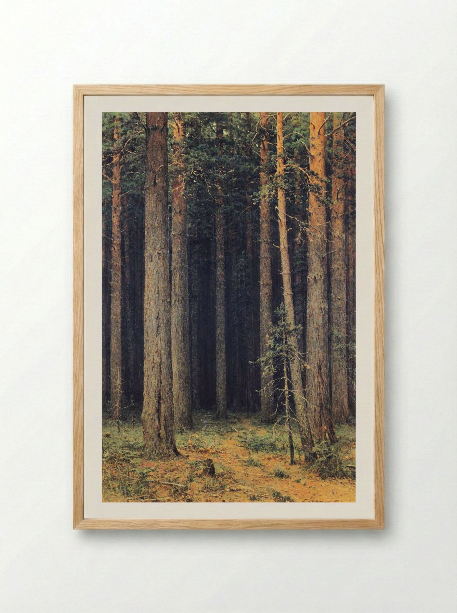 Forest Reserve. Pine Grove - Ivan Shishkin - Framed Print Wood