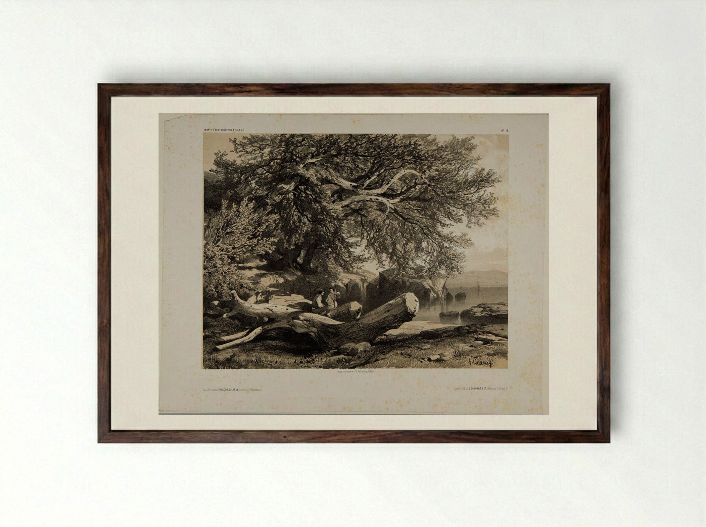 Forests and Mountains, Number 13 - Alexandre Calame - Framed Print Dark Wood