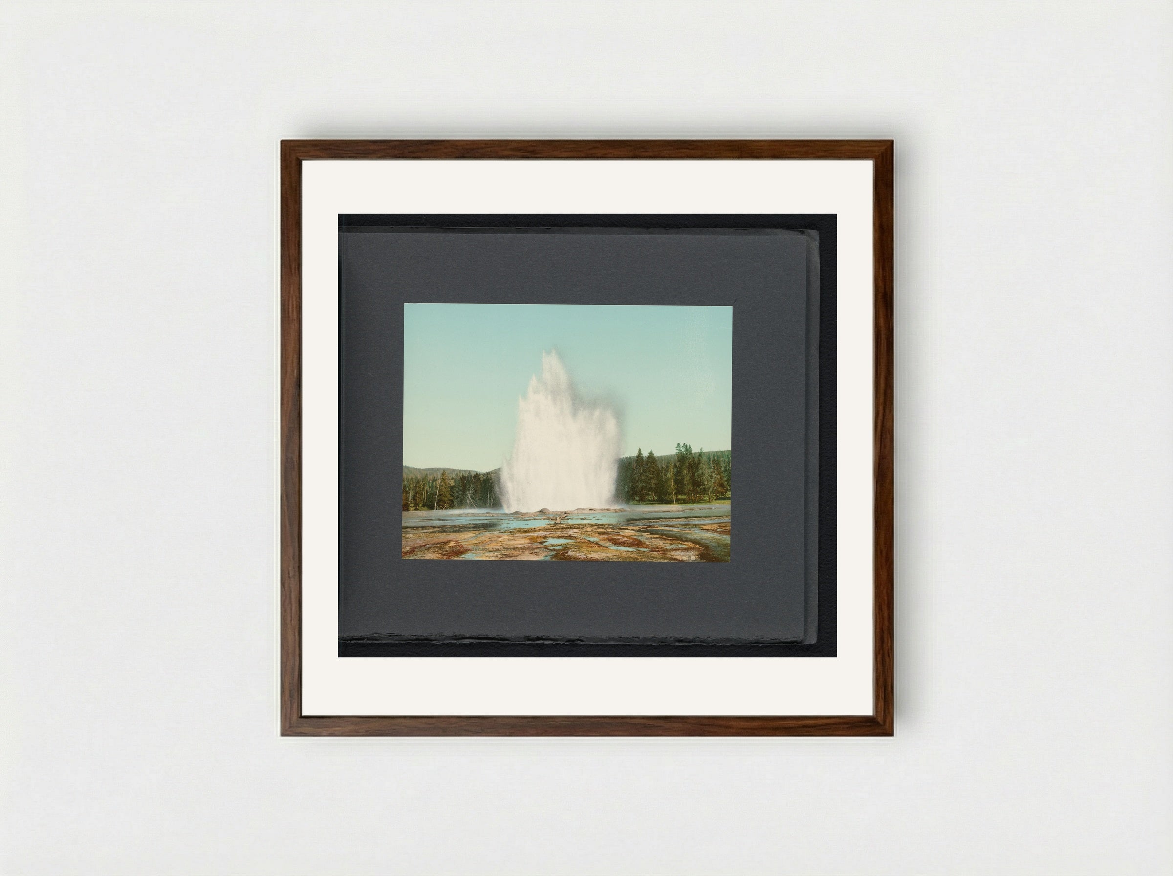 Fountain Geyser, Yellowstone National Park - William Henry Jackson - Framed Print Dark Wood