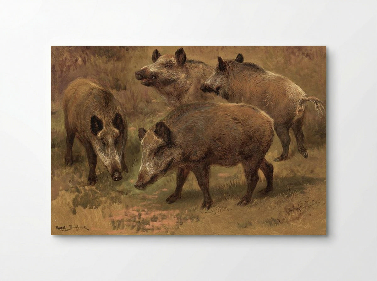 Four Boars in a Landscape - Rosa Bonheur - Poster