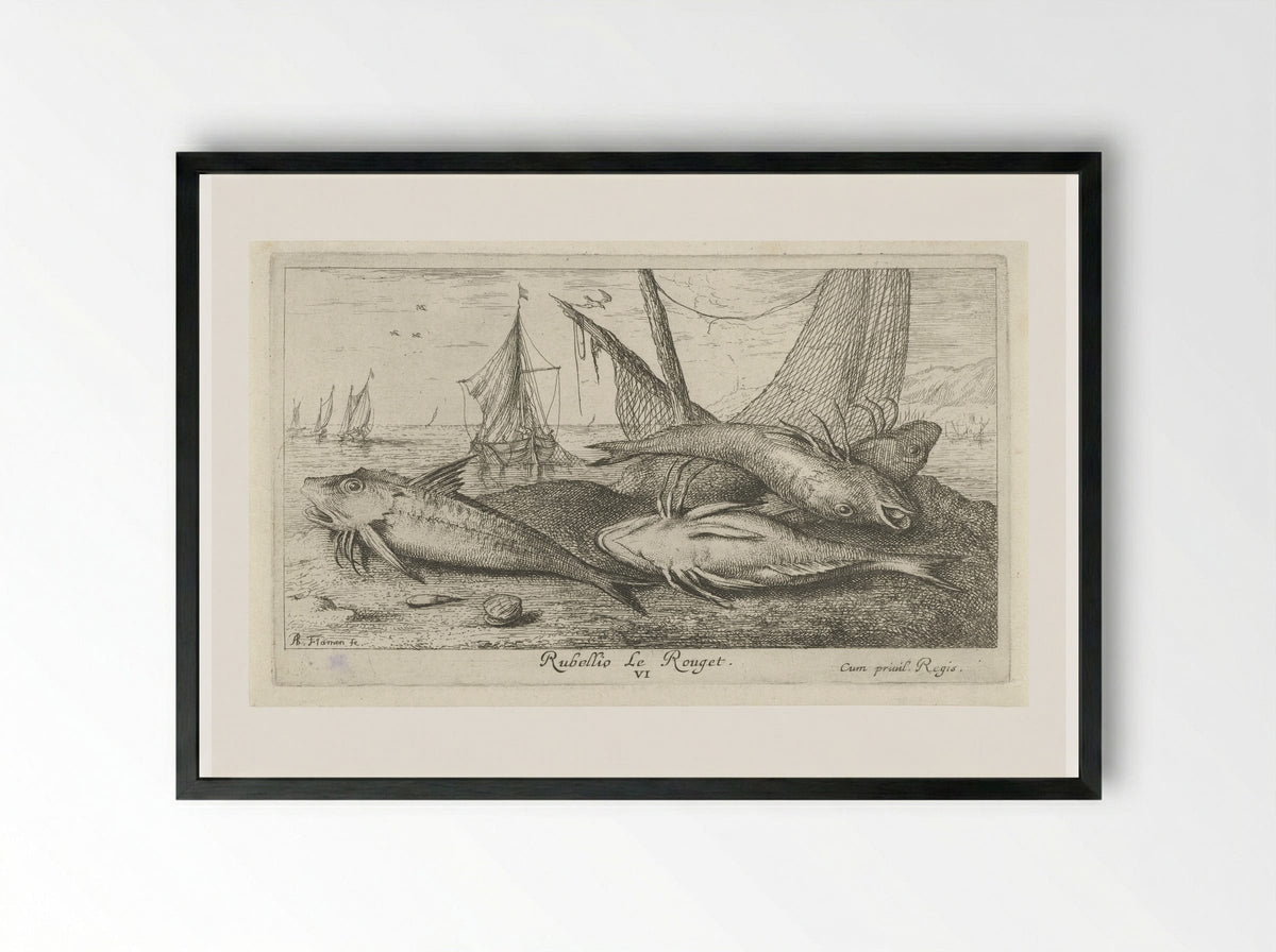 Four Red Mullet on the Shore - Albert Flamen - Framed Print Black