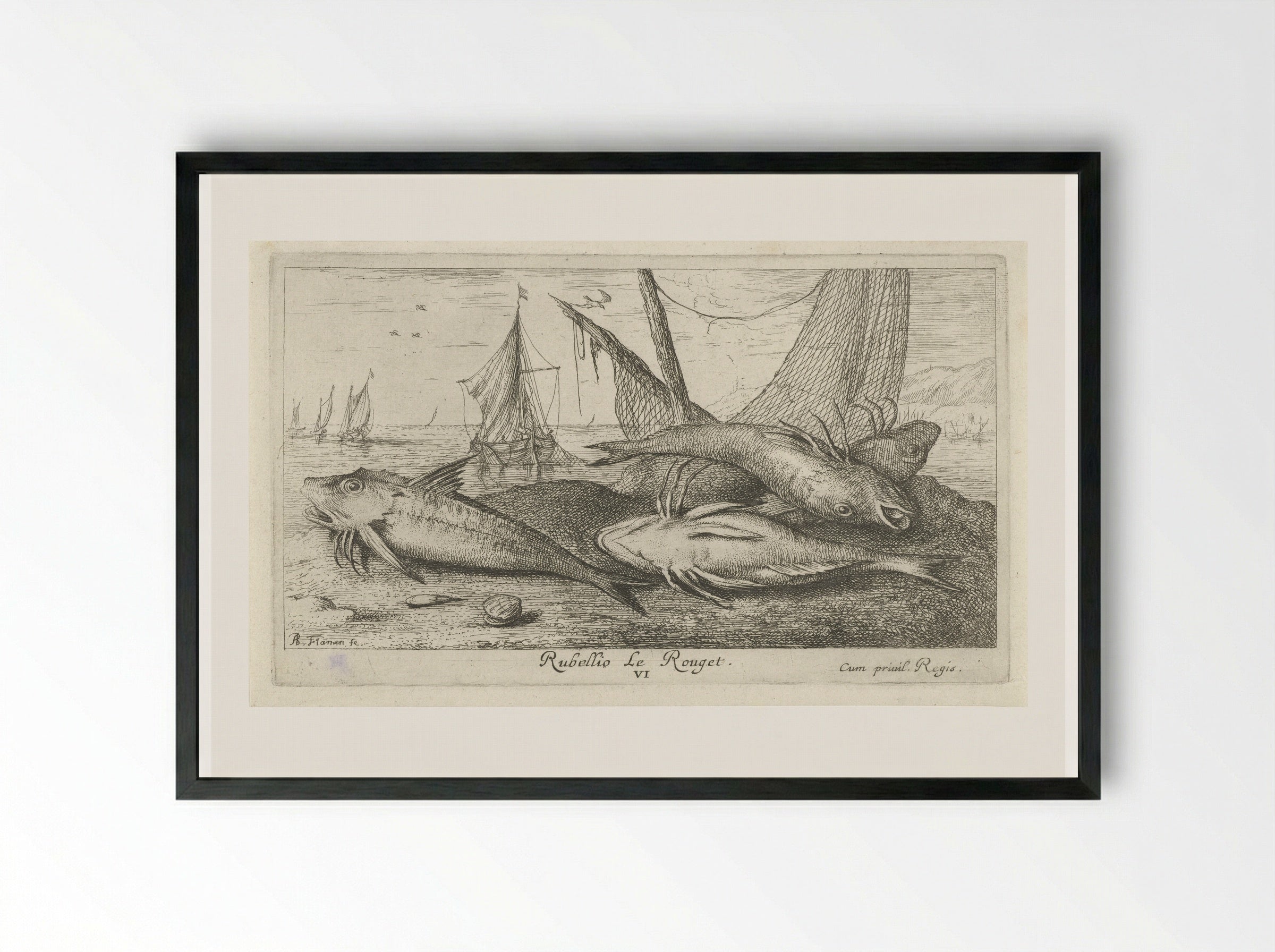 Four Red Mullet on the Shore - Albert Flamen - Framed Print Black