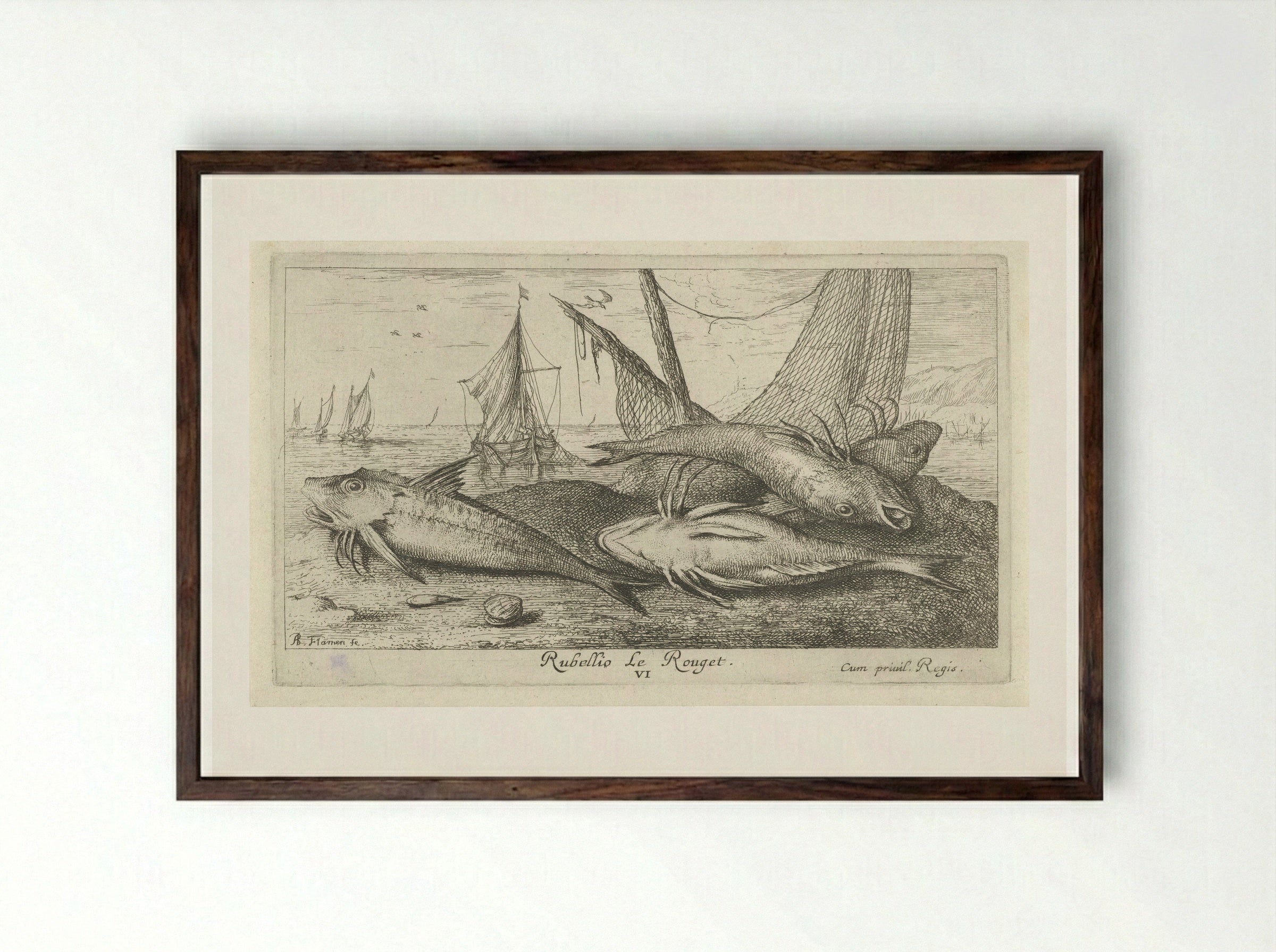 Four Red Mullet on the Shore - Albert Flamen - Framed Print Dark Wood