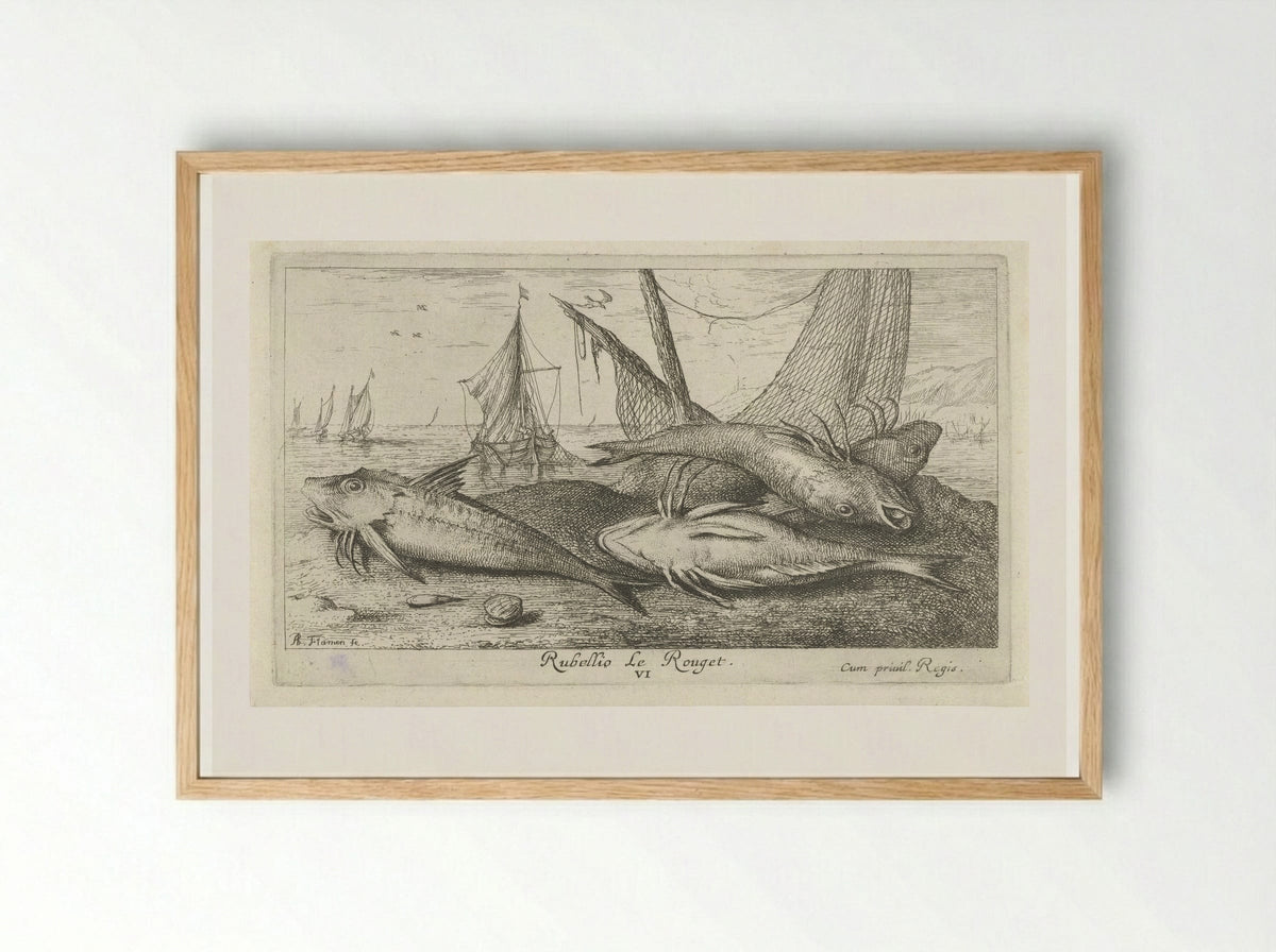 Four Red Mullet on the Shore - Albert Flamen - Framed Print Wood
