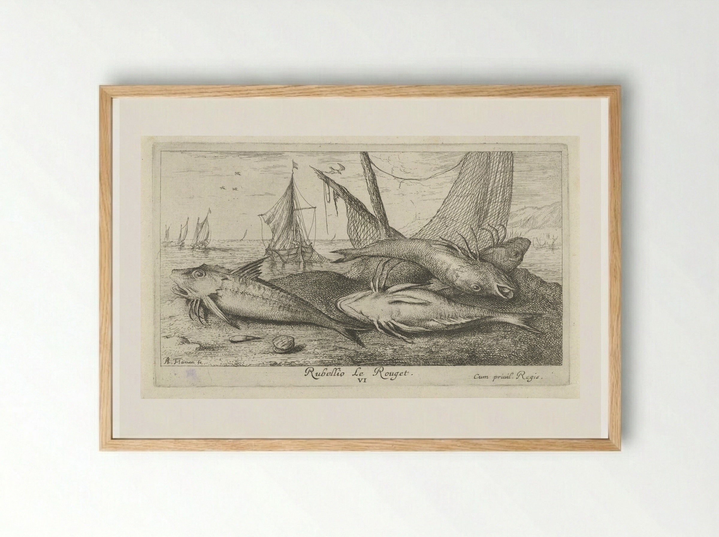 Four Red Mullet on the Shore - Albert Flamen - Framed Print Wood