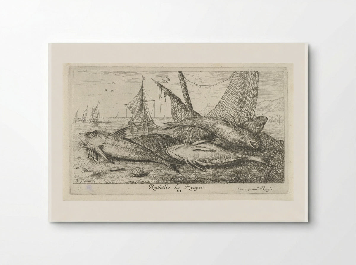 Four Red Mullet on the Shore - Albert Flamen - Poster