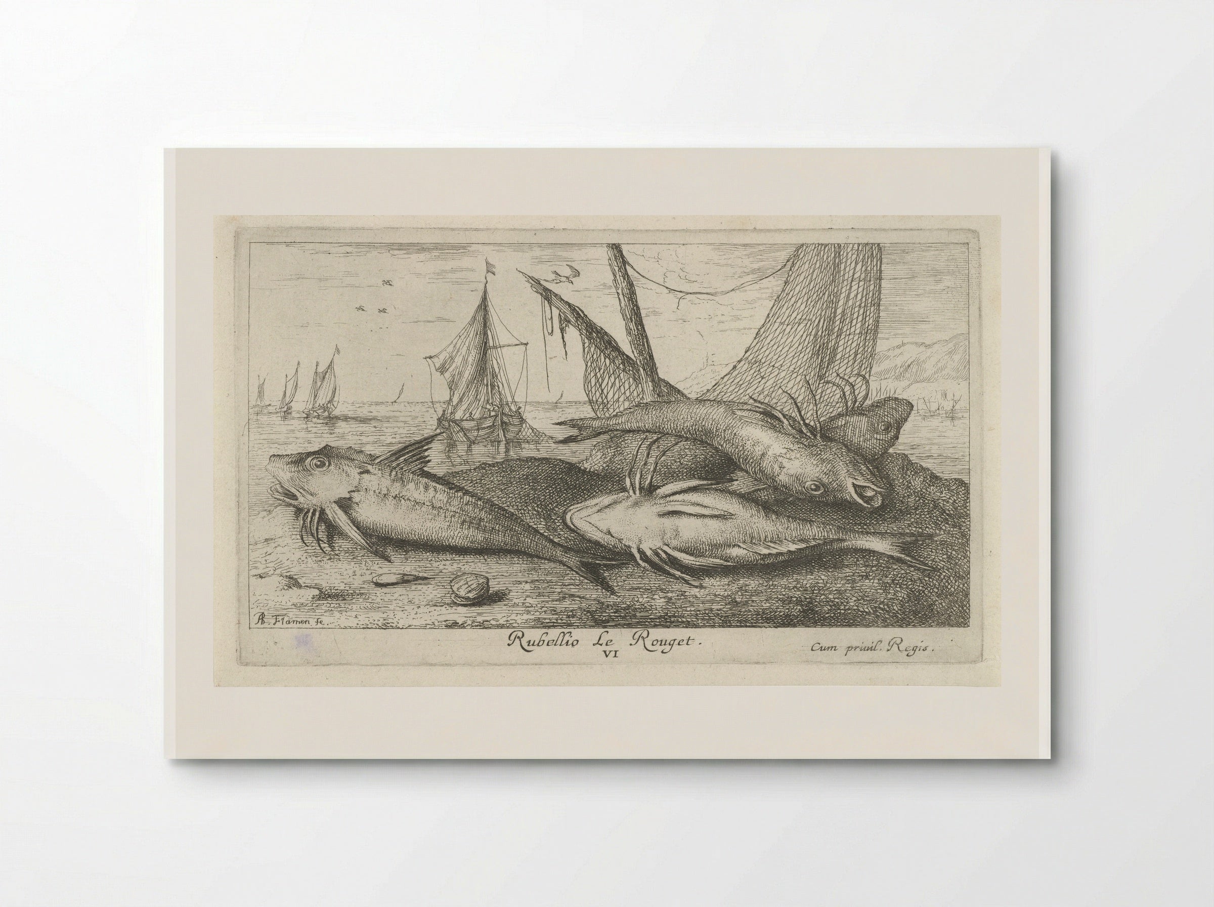 Four Red Mullet on the Shore - Albert Flamen - Poster