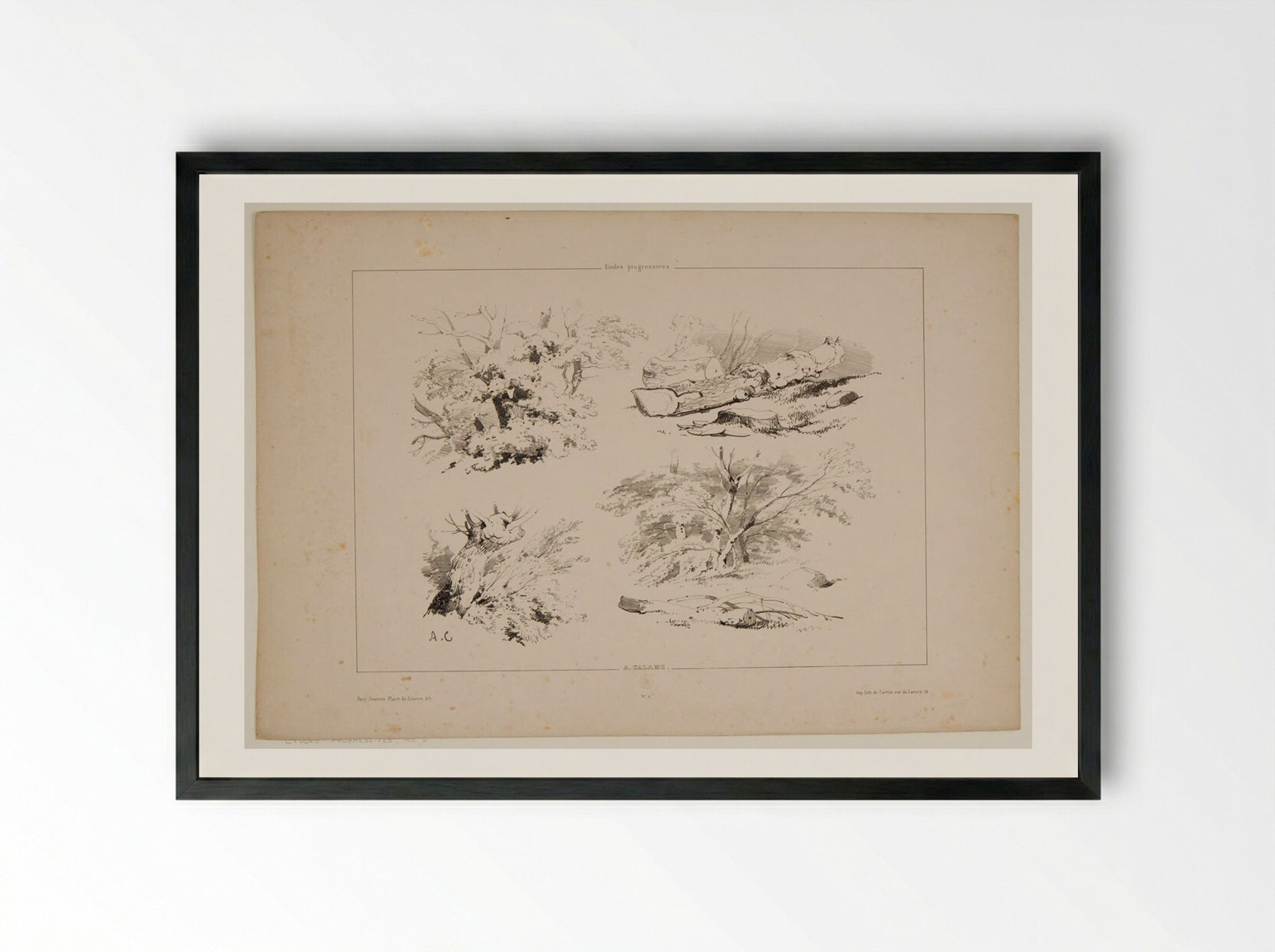 Four Sketches of Trees and Logs - Alexandre Calame - Framed Print Black