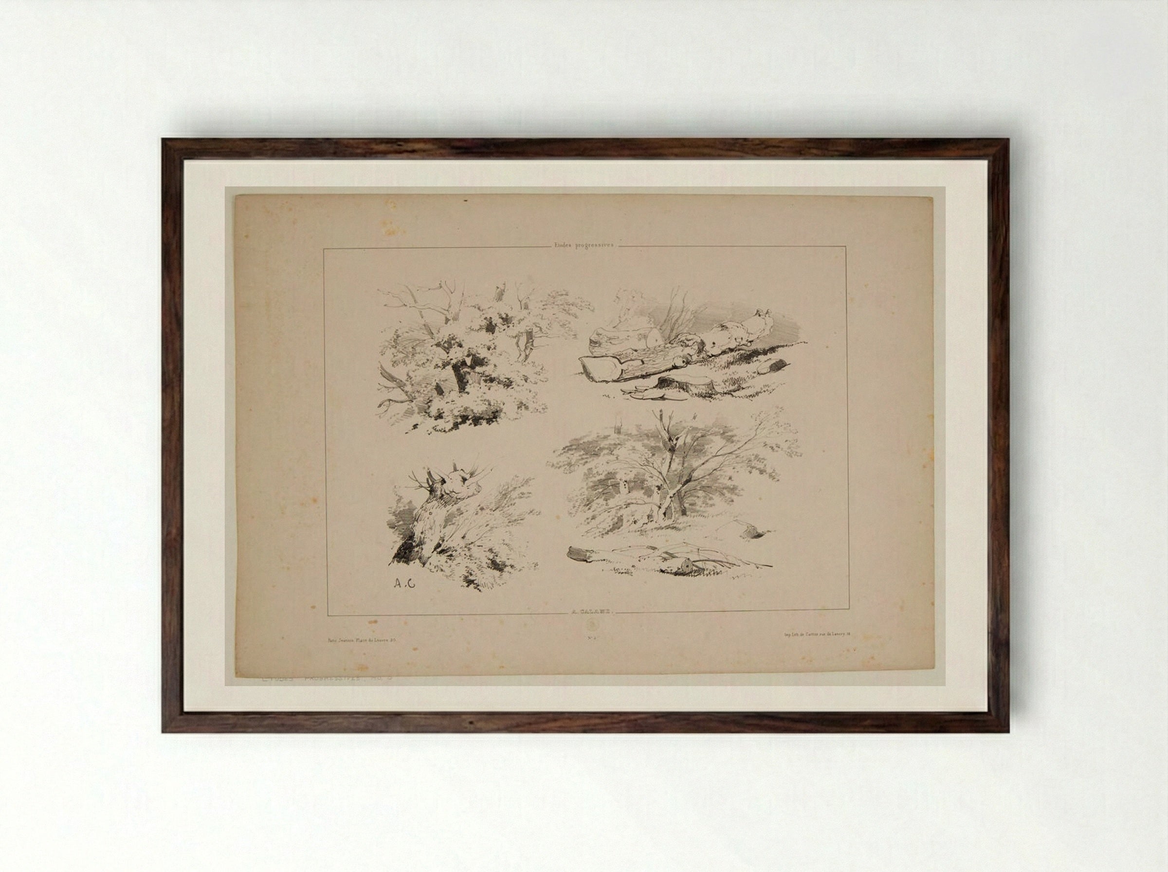 Four Sketches of Trees and Logs - Alexandre Calame - Framed Print Dark Wood