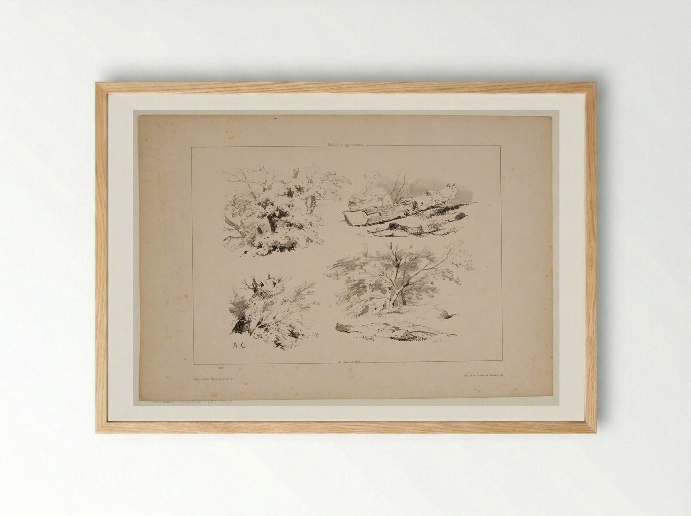 Four Sketches of Trees and Logs - Alexandre Calame - Framed Print Wood