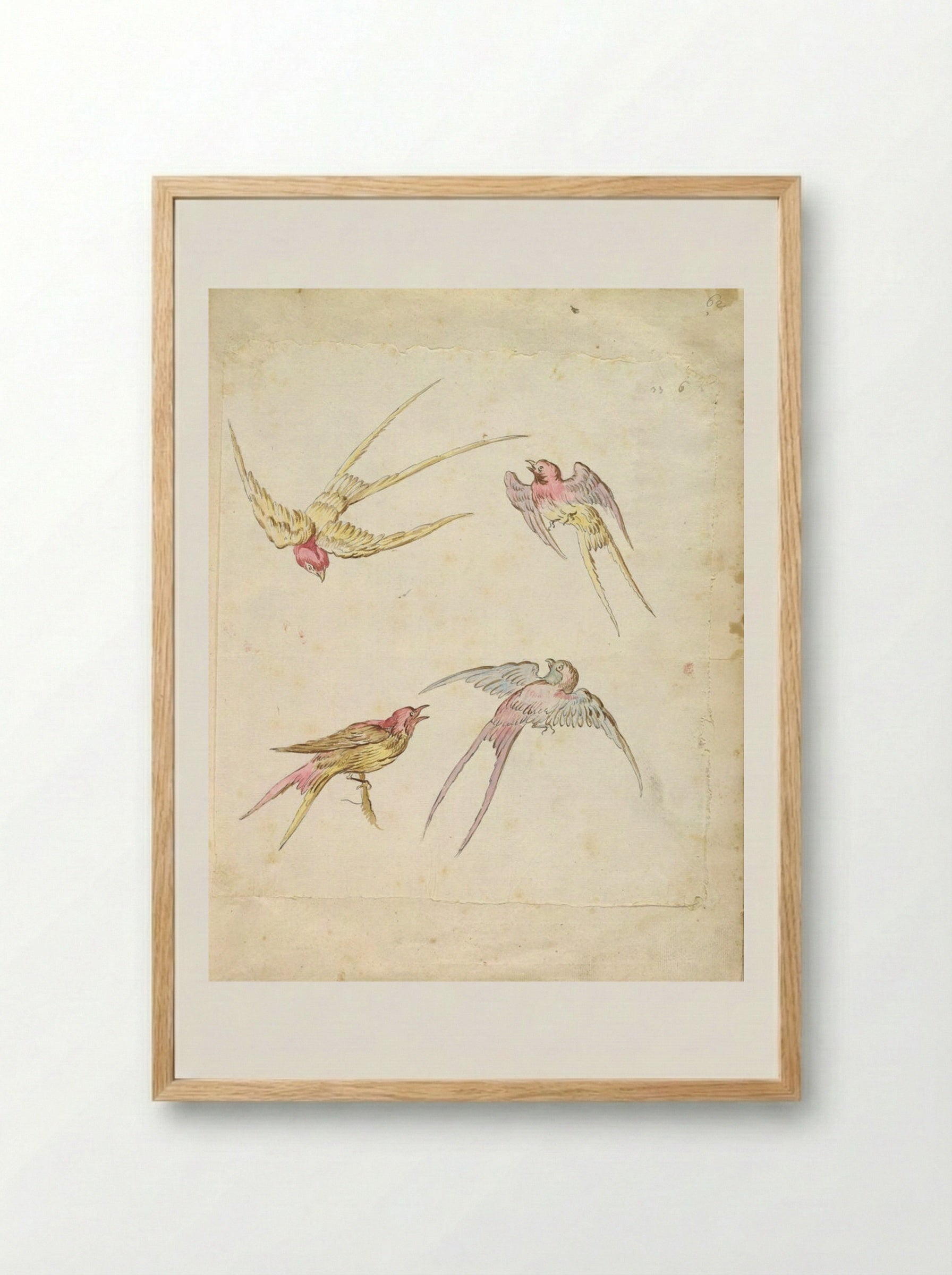 Four Swallows, One Perched and Three in Flight - Jean-Baptiste Oudry - Framed Print Wood