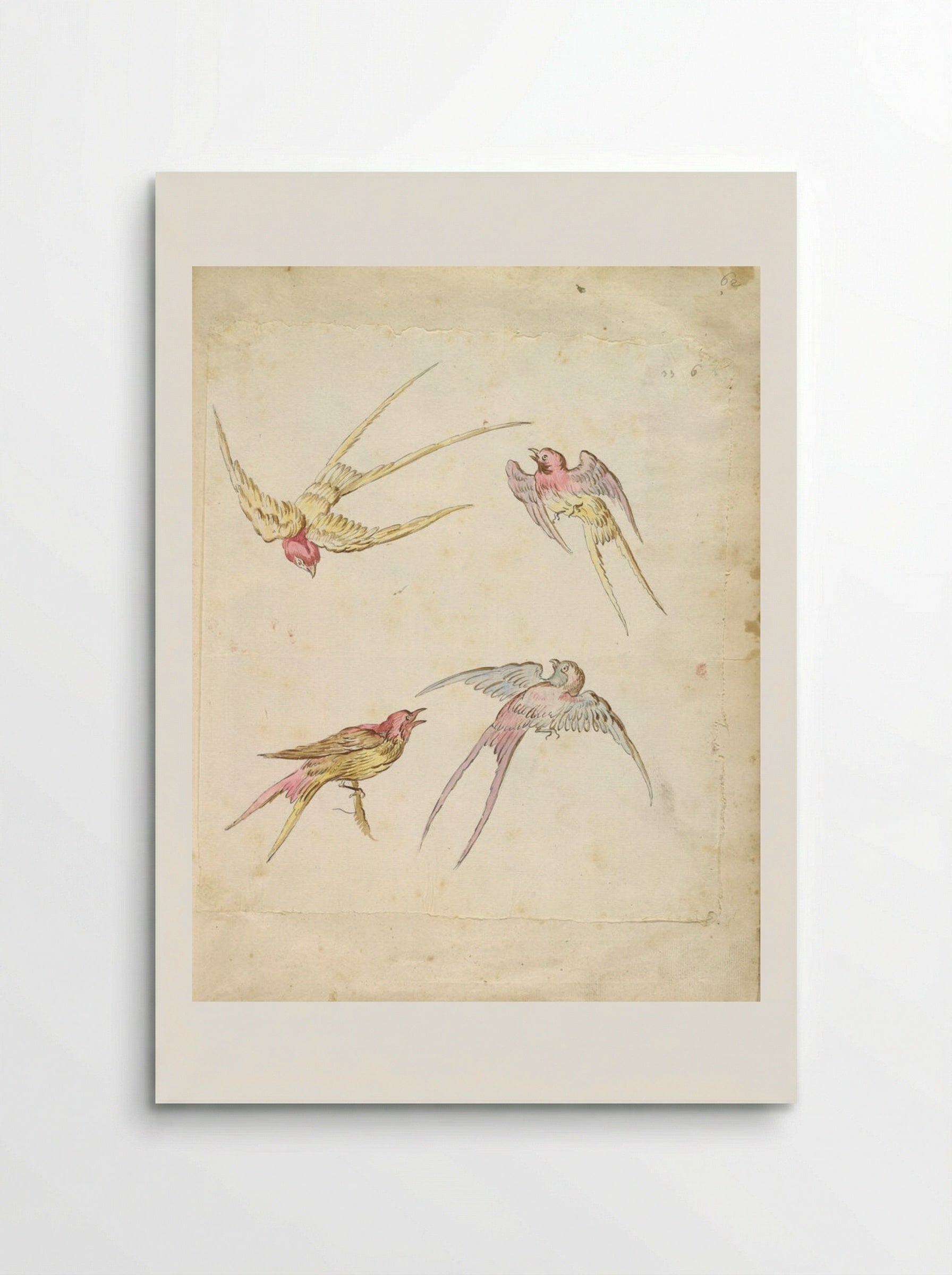 Four Swallows, One Perched and Three in Flight - Jean-Baptiste Oudry - Poster