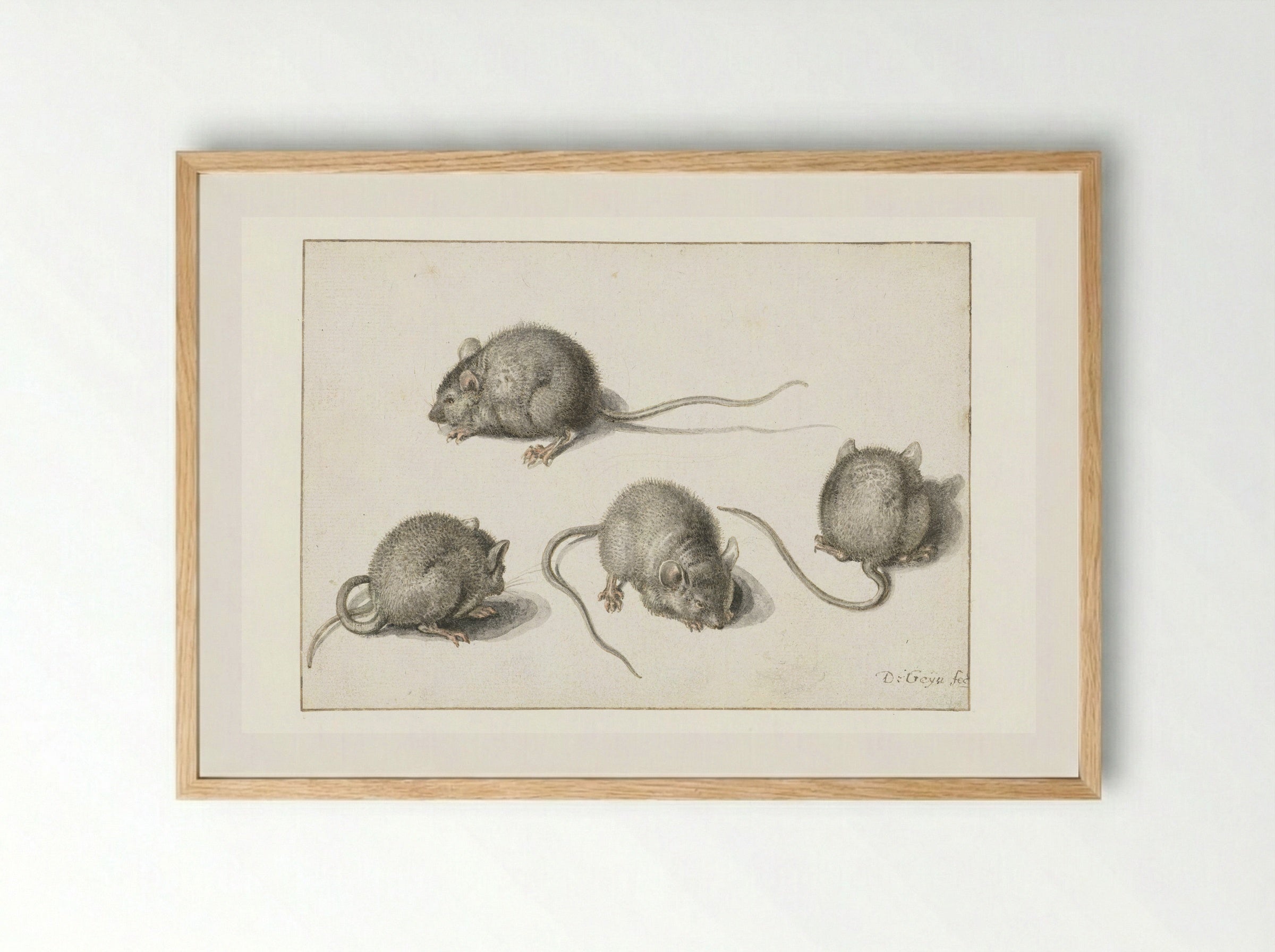Four studies of a diseased mouse - Jacques de Gheyn (II) - Framed Print Wood