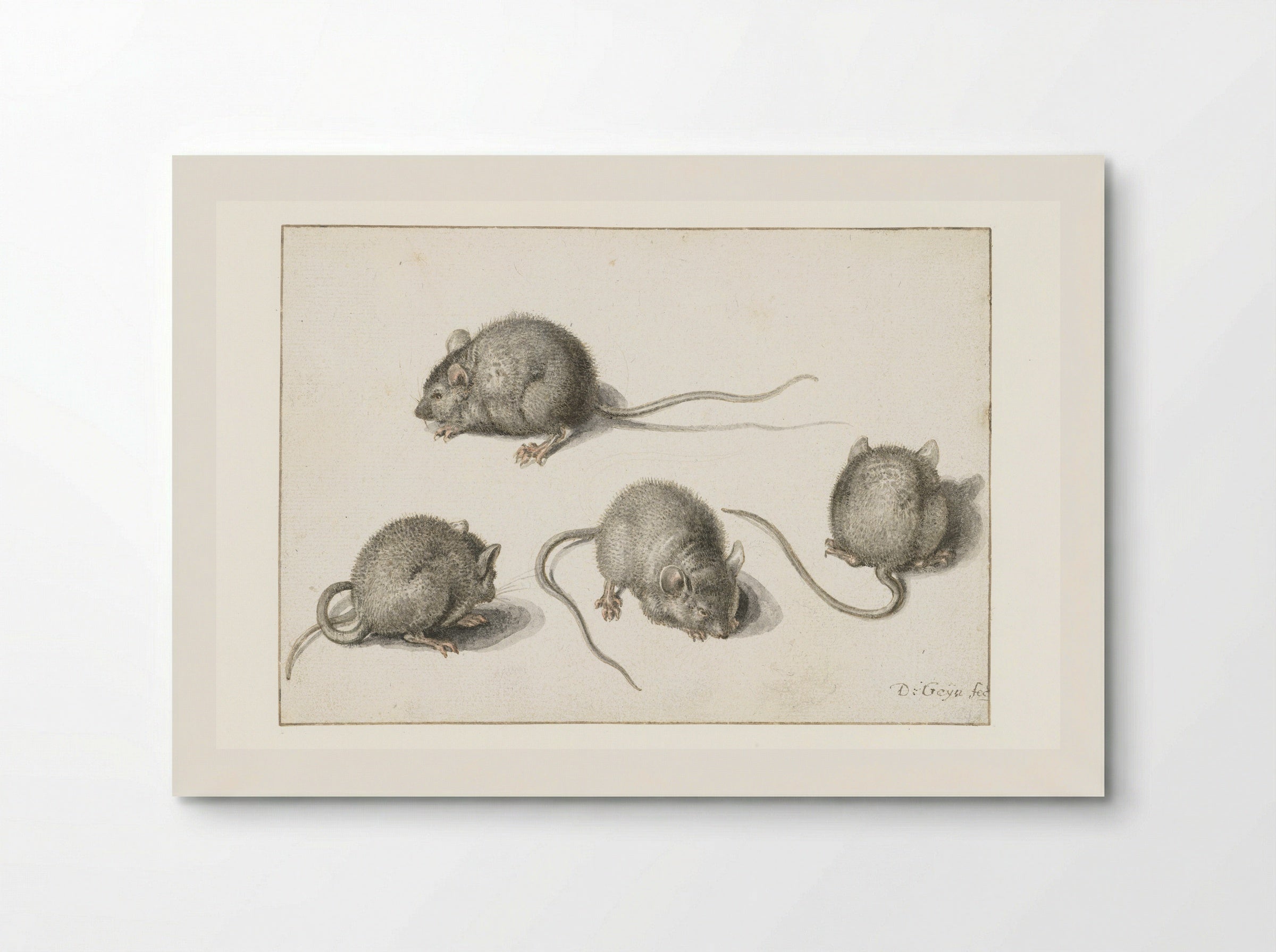 Four studies of a diseased mouse - Jacques de Gheyn (II) - Poster