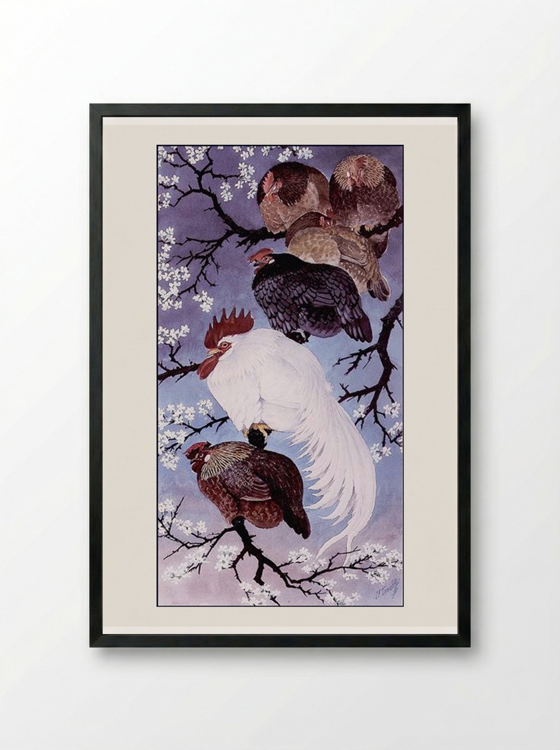 Fowl In A Damson Tree - Charles Tunnicliffe - Framed Print Black