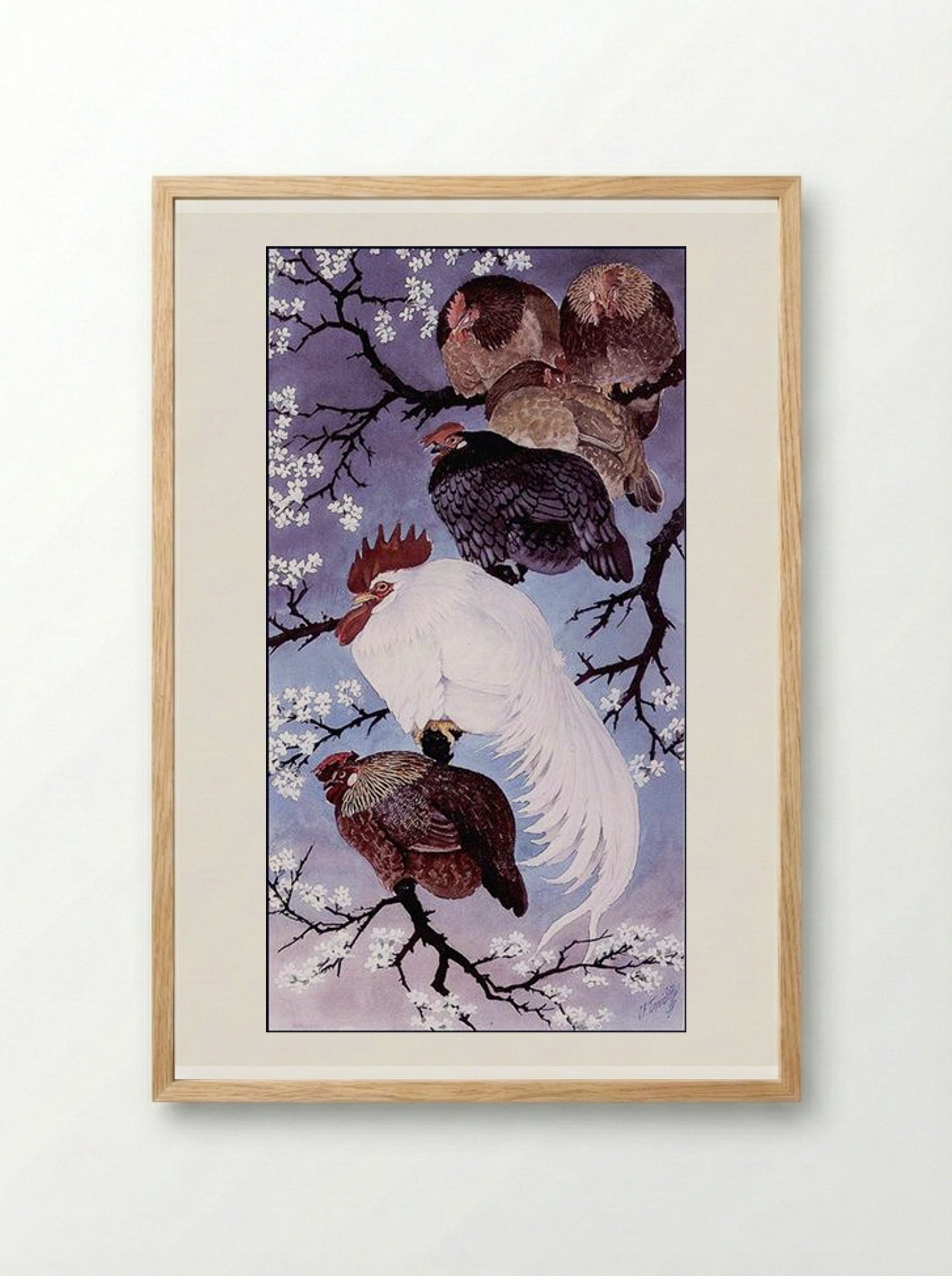 Fowl In A Damson Tree - Charles Tunnicliffe - Framed Print Wood